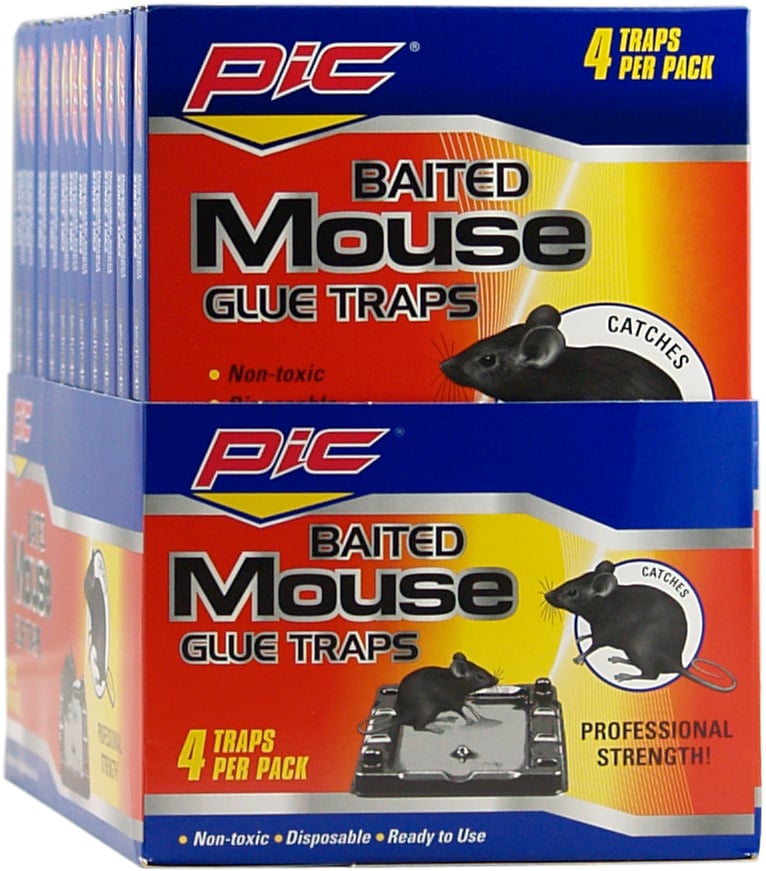 PIC Baited Mouse Glue Traps (48-Pack) GT-4-H - The Home Depot