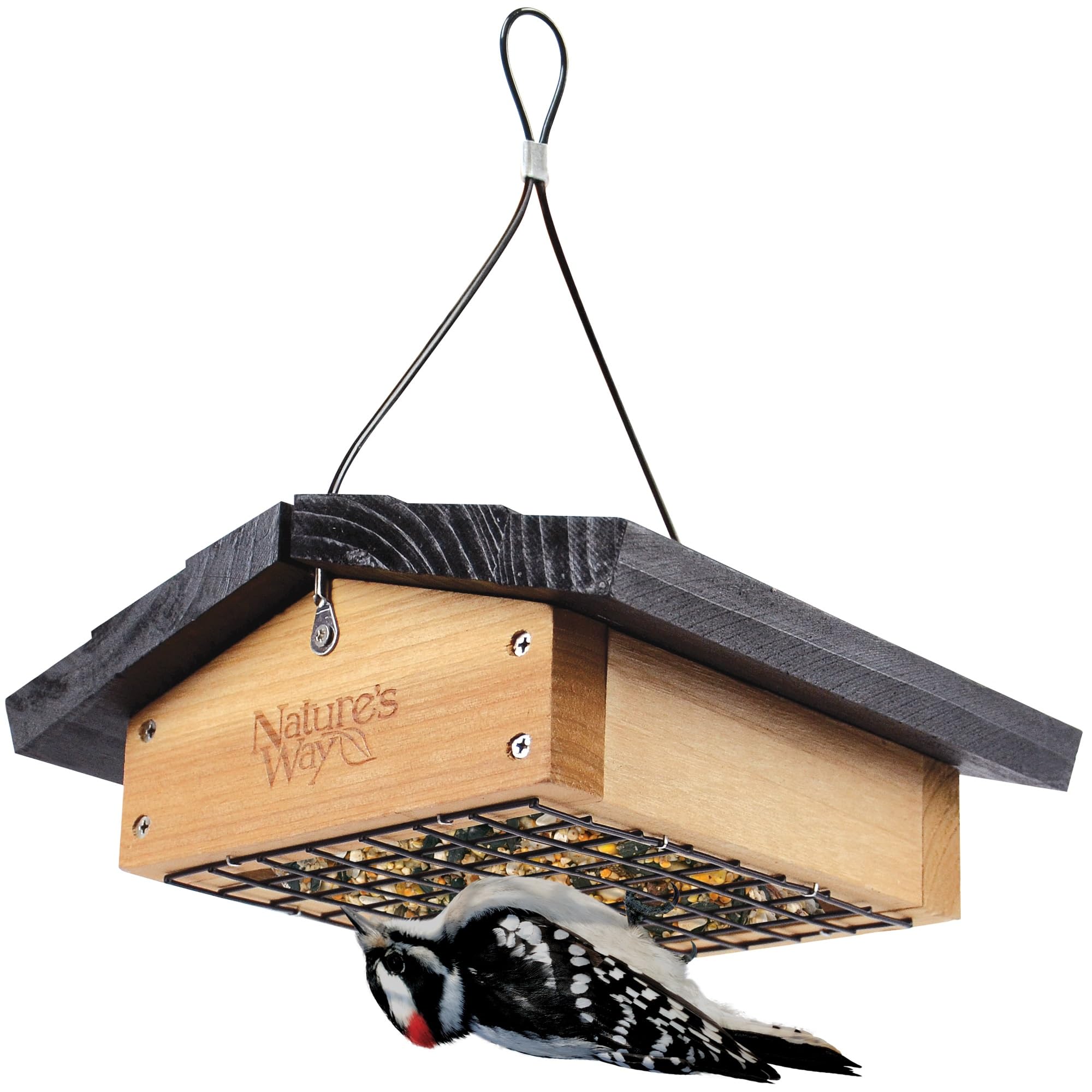 Nature's Way  Bird Products CWF2 Cedar Suet Upside-Down Bird Feeder Black