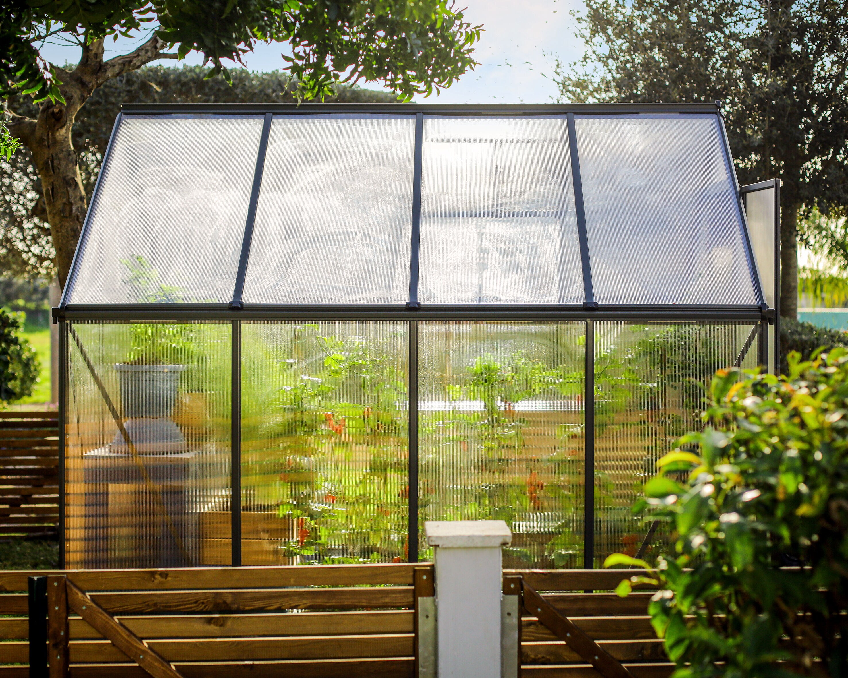 Gray Aluminum and Polycarbonate 6' x 8' Walk-In Greenhouse