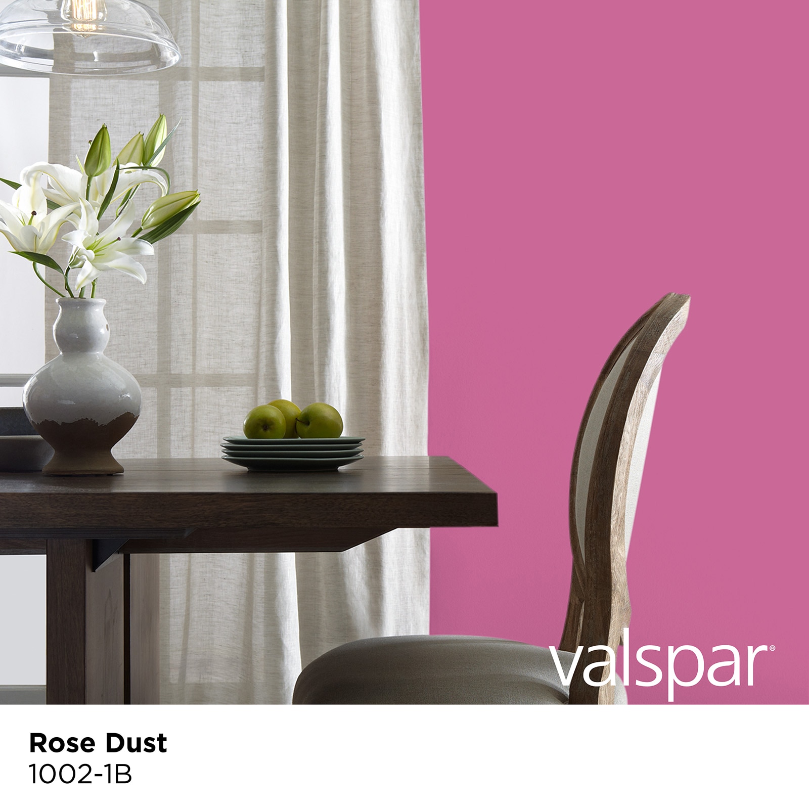 1010 Rose Dust - Paint Color