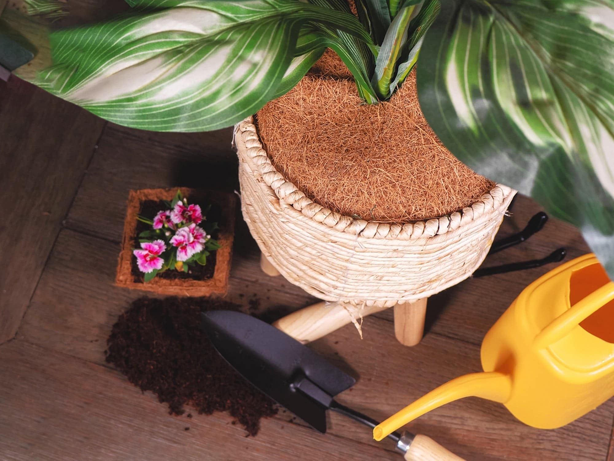 Envelor EN-CWCD-9-15 Rubber-Mulch-Tree-Rings - View #4