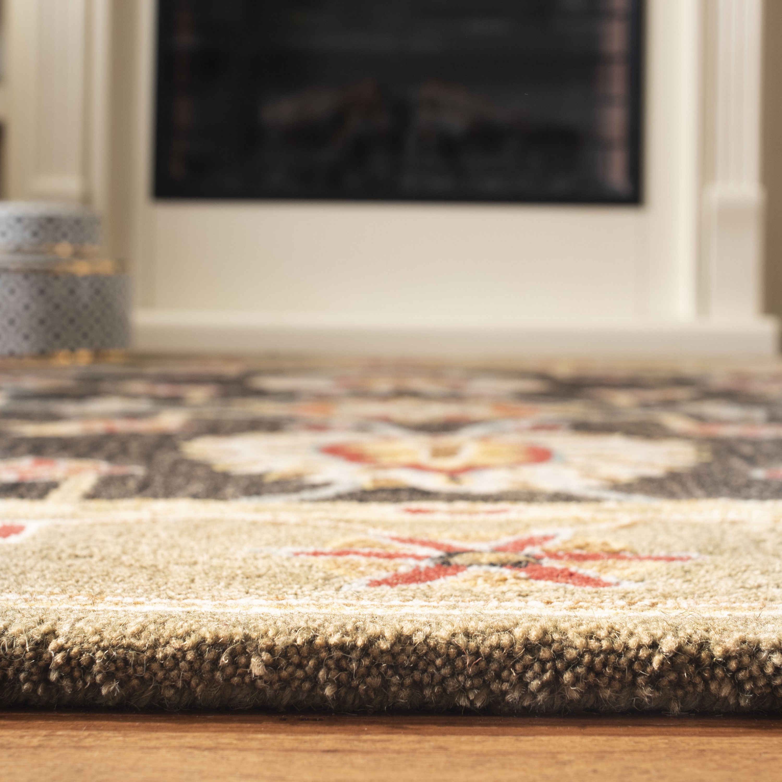 Safavieh AN561C-4 rugs - View #5