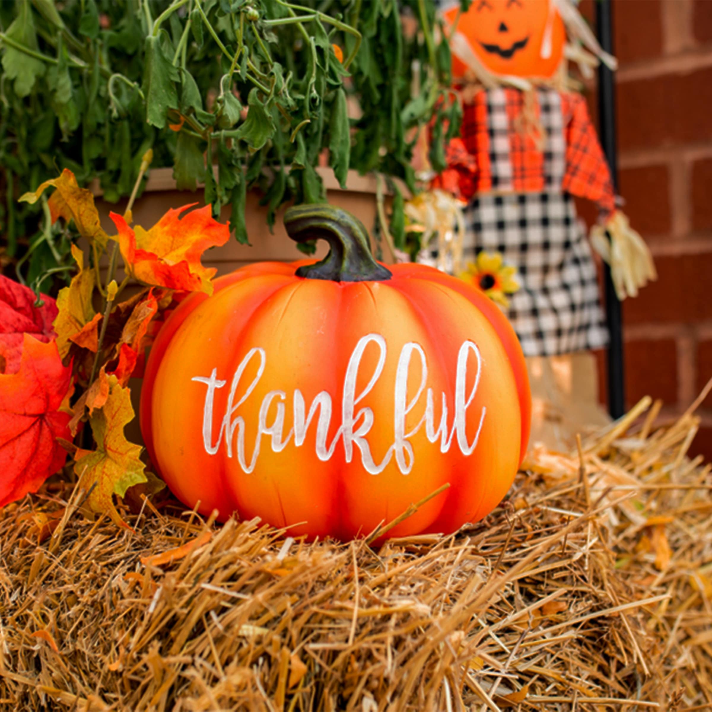 Exhart 16777-RS Indoor-Thanksgiving-Decor - View #11