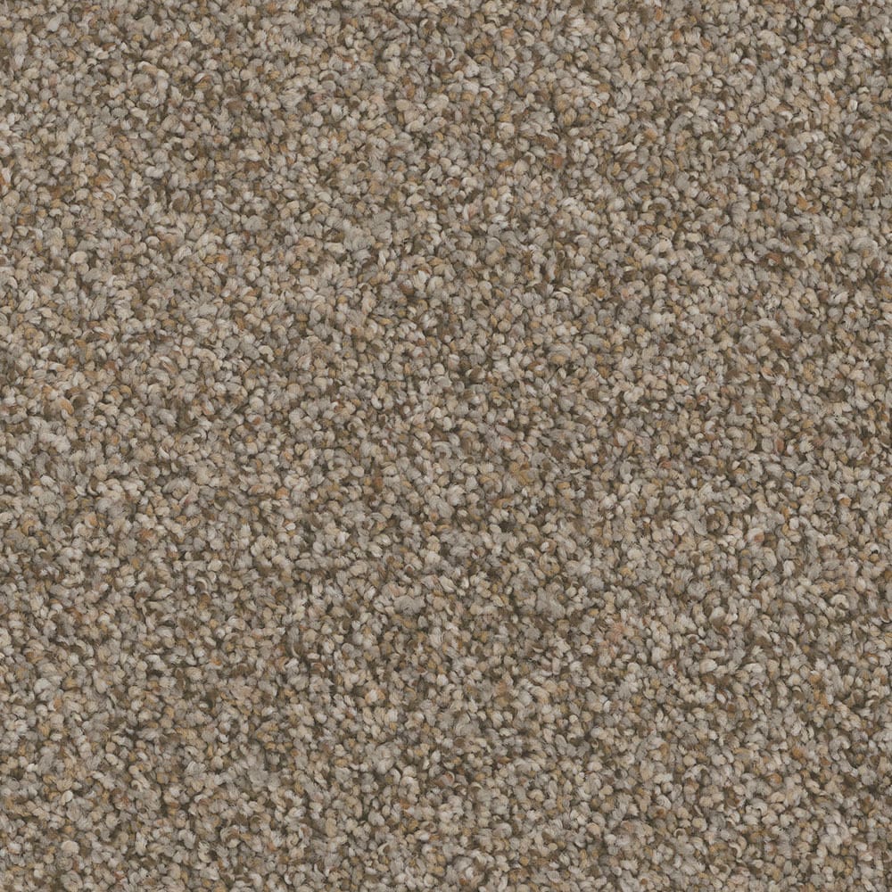 STAINMASTER PetProtect S9055-957-S (Sample) Piedmont Midtown Multi-Colored 55-oz sq yard Nylon Textured Indoor Carpet