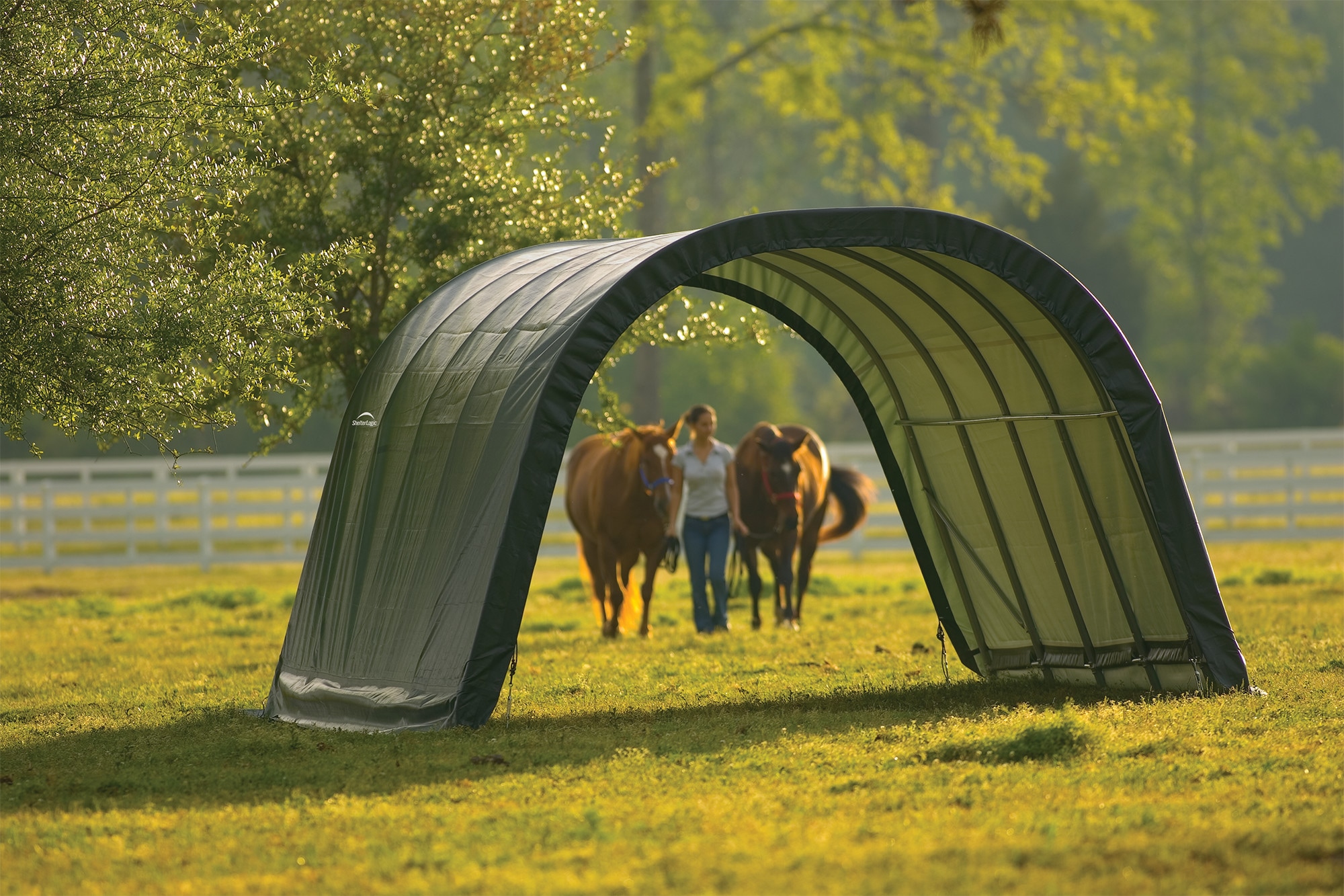 ShelterLogic 51341 Canopy-Storage - View #6