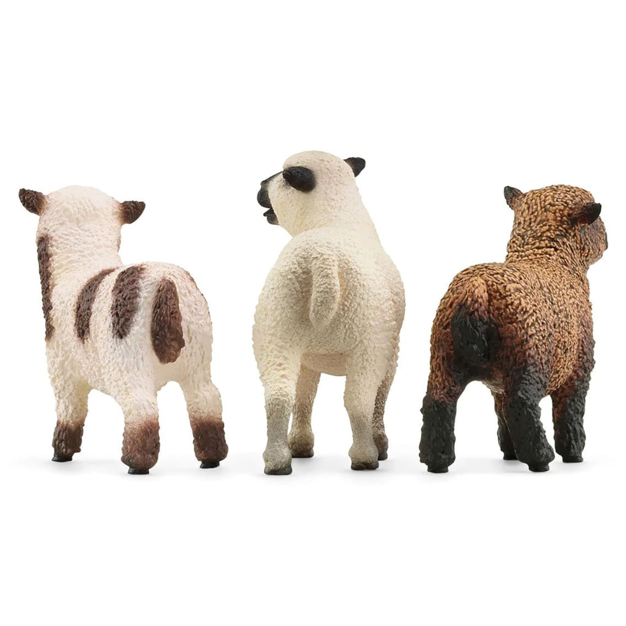 schleich G4059433761923 Play-Toys - View #3