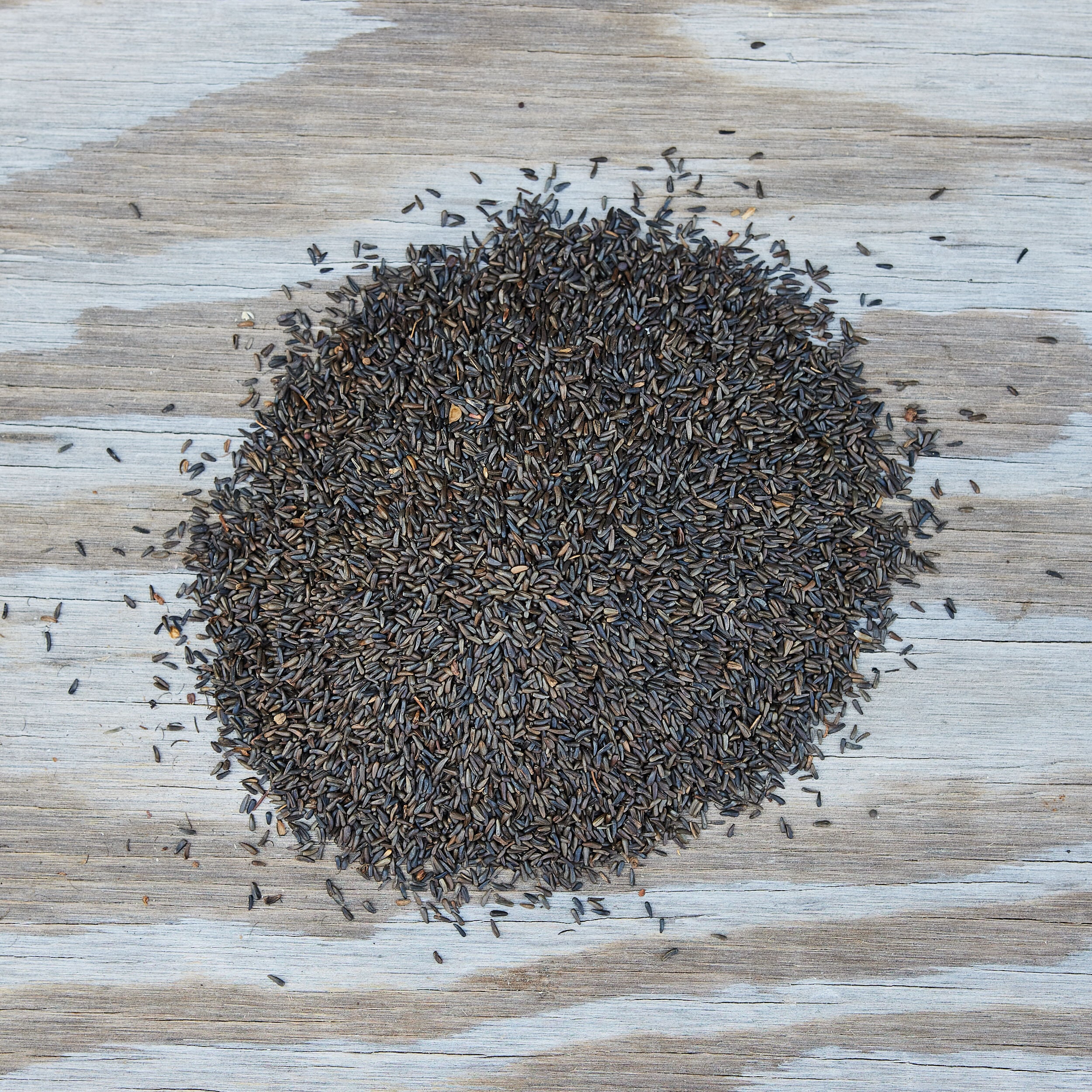 National Audubon Society 009486 Bird-Squirrel-Food - View #2