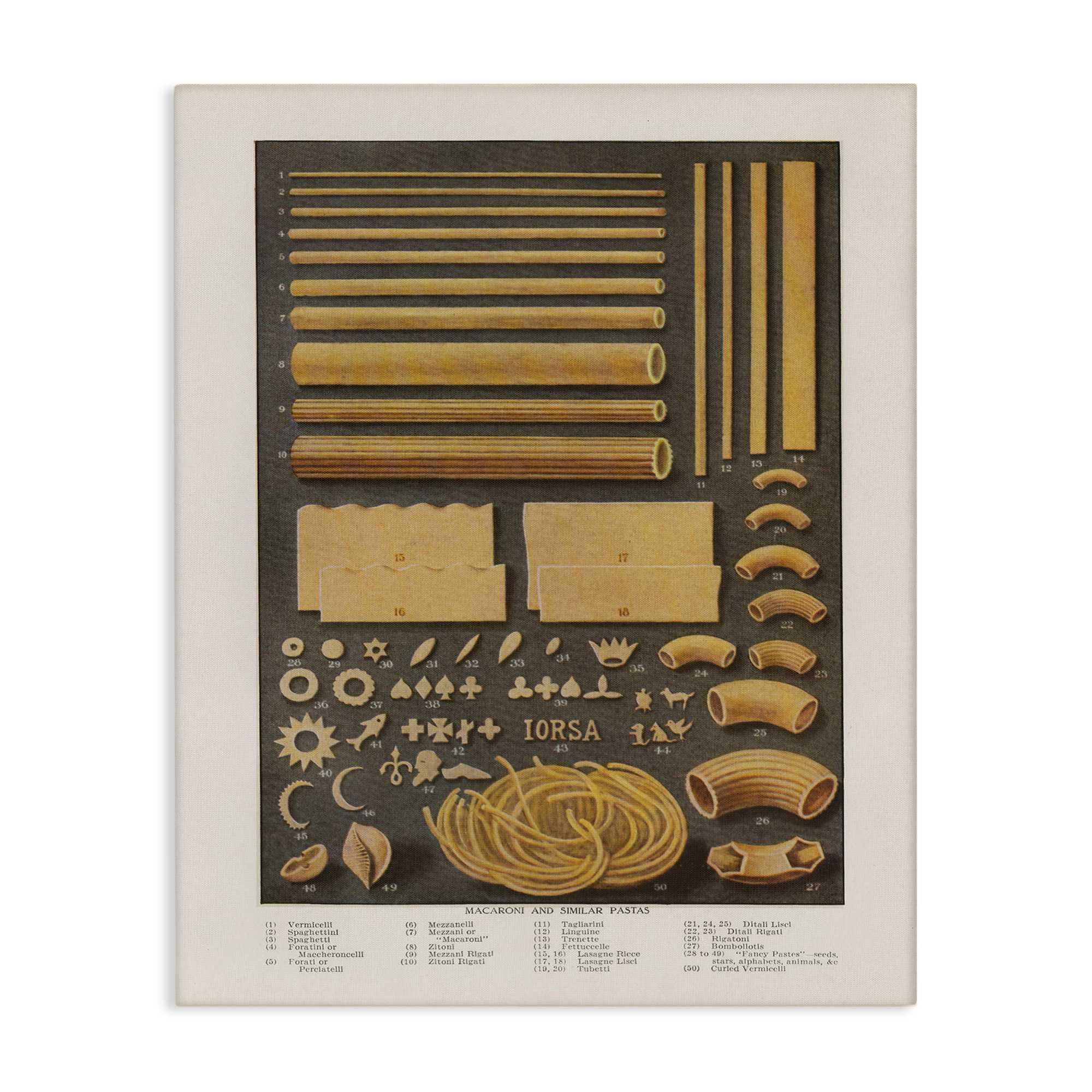 Stupell Industries  Various Pasta Shapes Vintage Canvas Wall Art By Phillipa Katz 24 x 30