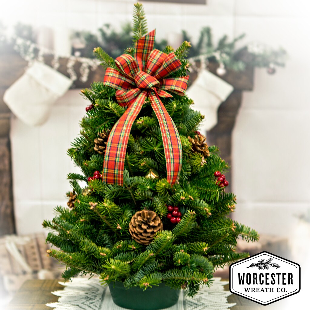 Worcester Wreath 18HIGHLAND-TREE Fresh-Cut-Christmas-Decorations - View #3