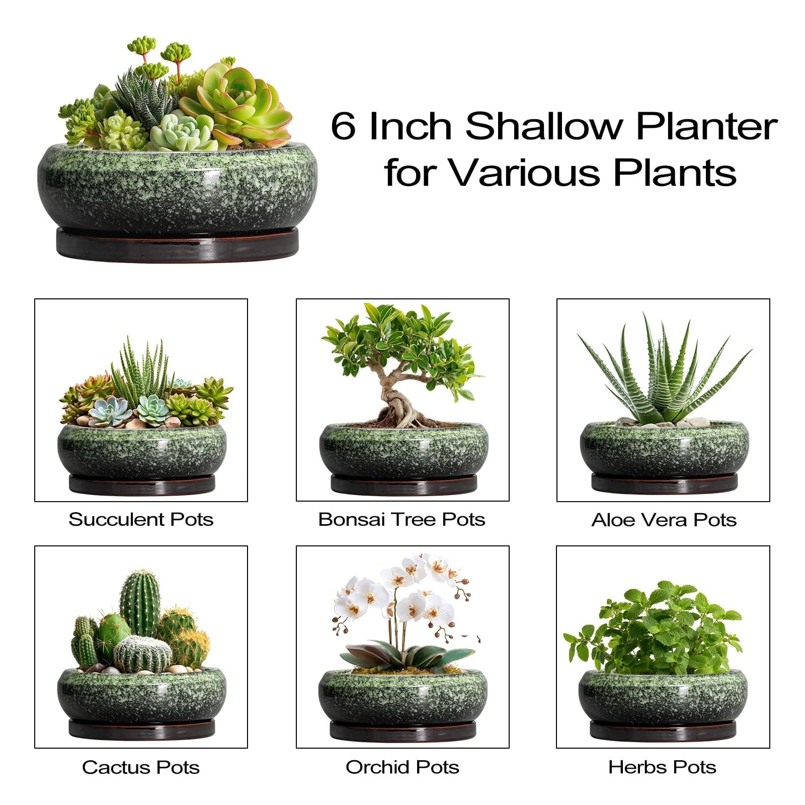 Justincity LJT0520J035 Planter-Window-Box - View #8