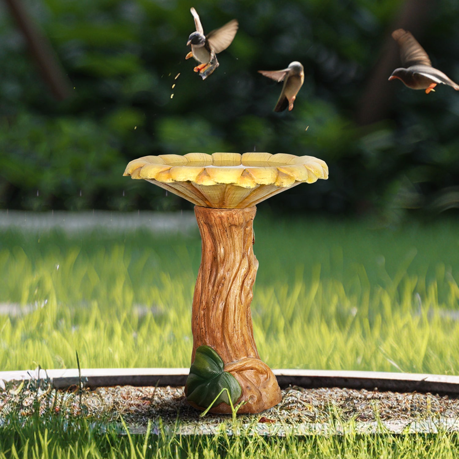 Watnature SJ30045 birdbaths - View #2