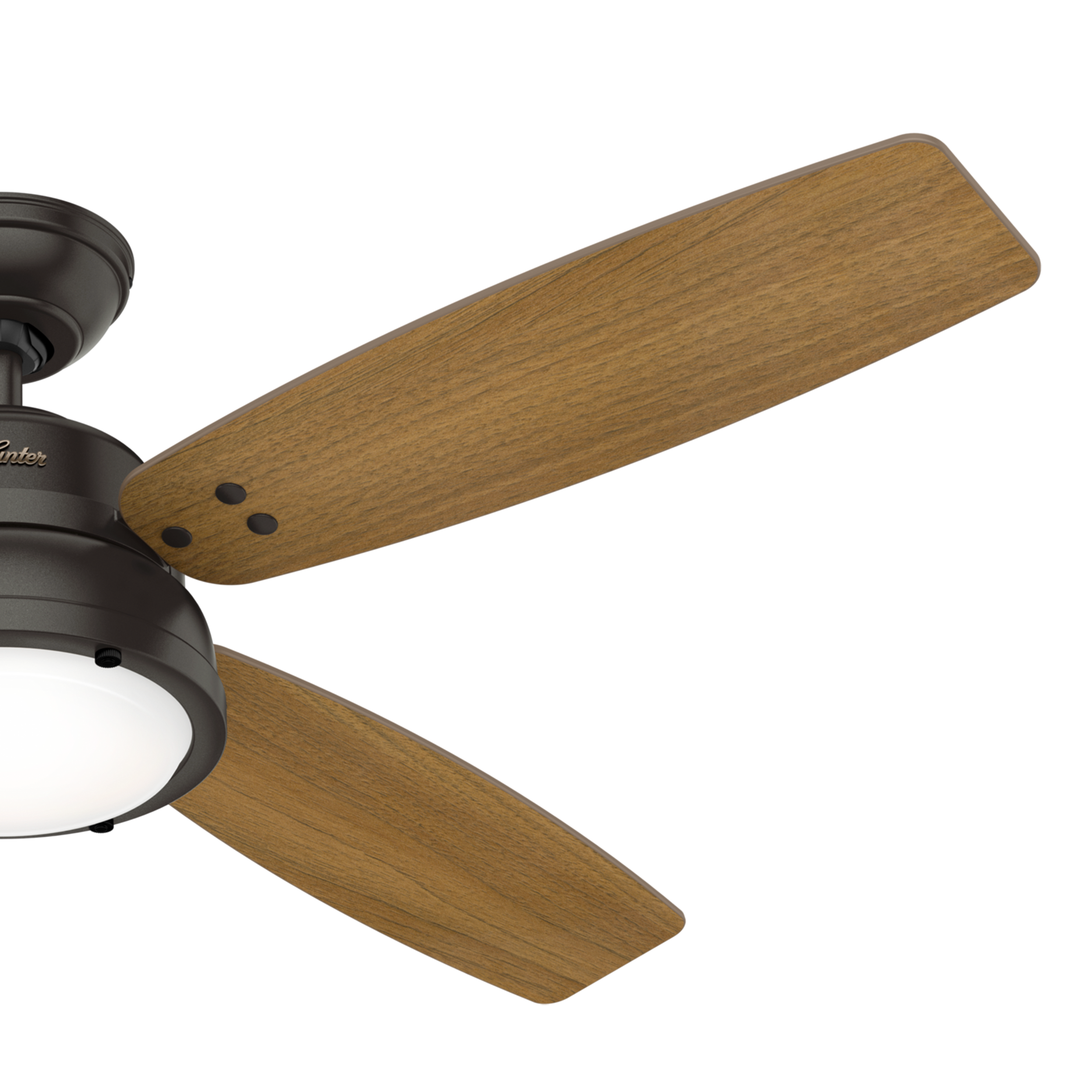 Hunter 59438 Ceiling-Fans - View #9
