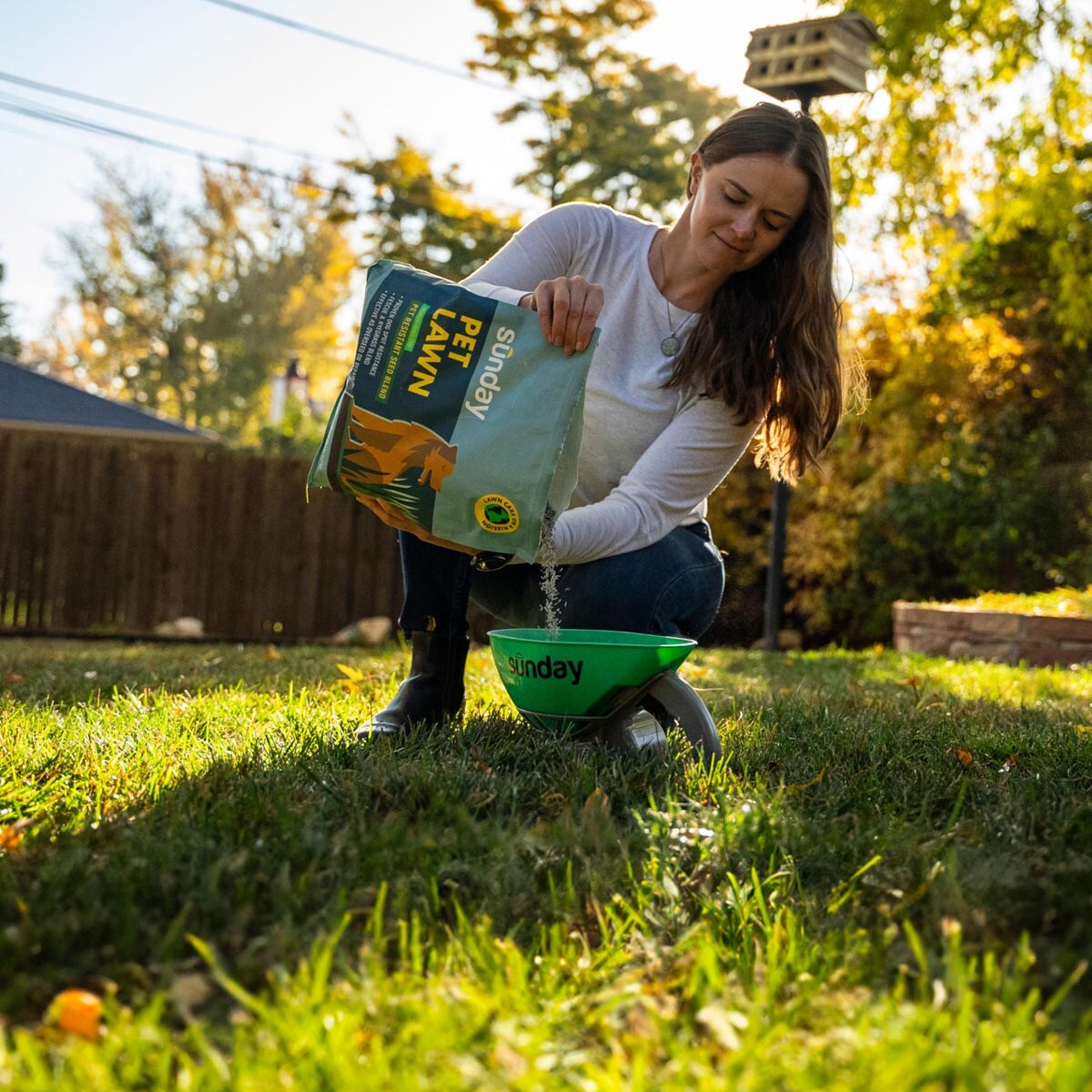 Sunday FB4161 Grass-Seed - View #4