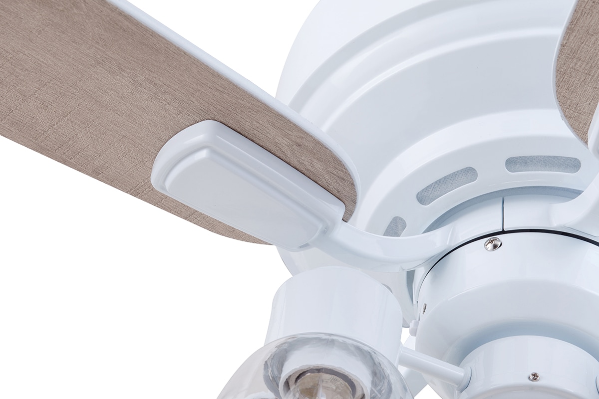 Prominence Home 51671-26 Ceiling-Fans - View #14