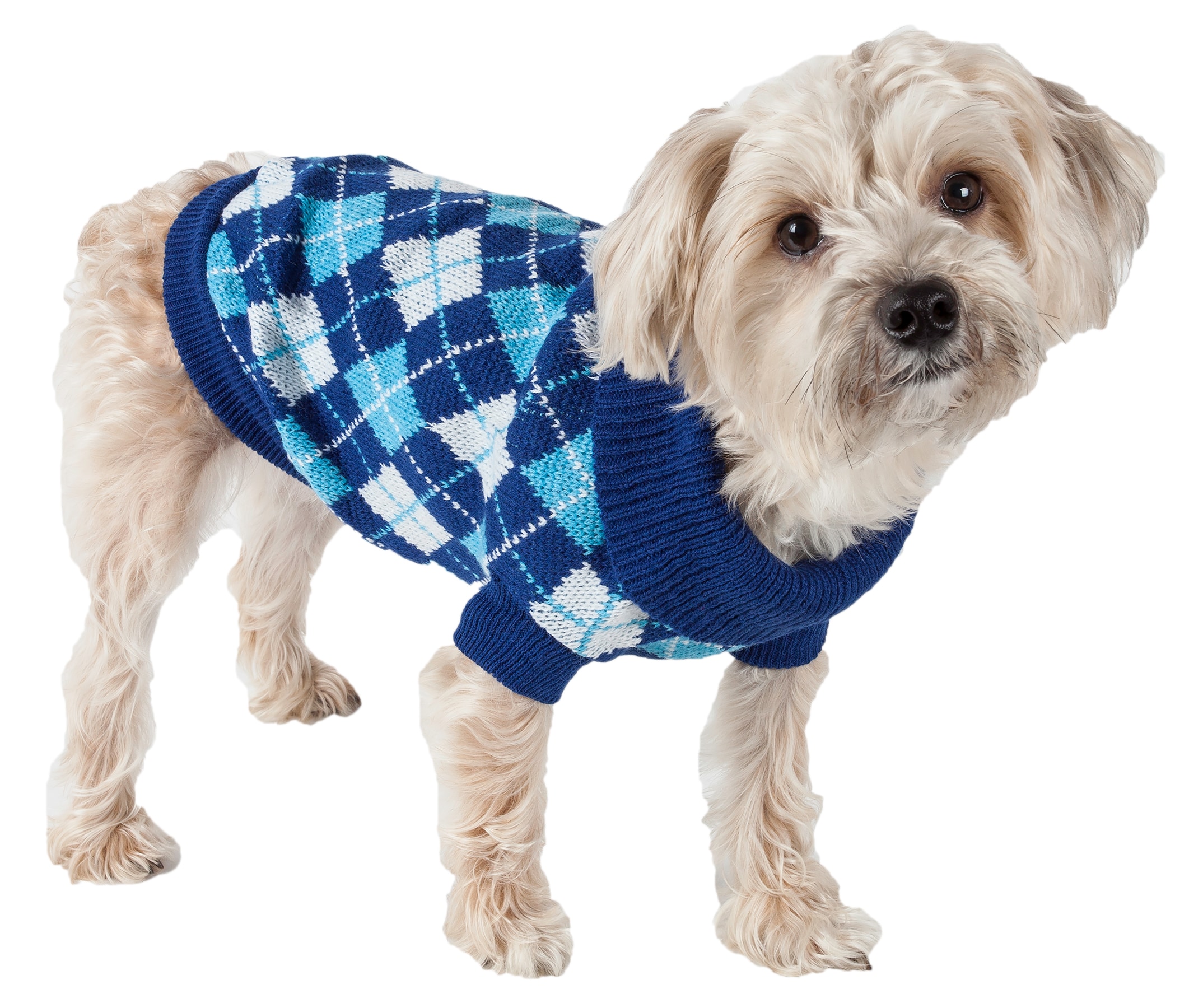 Country Blue and Black Wool Mix Lightweight pet dog coat Ideal for spring.