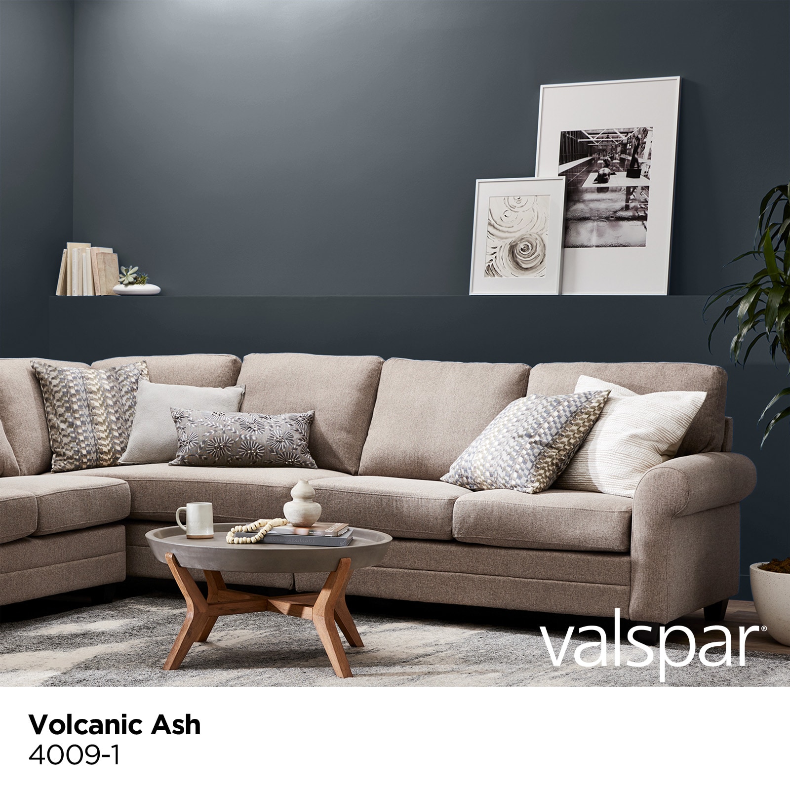 Valspar Signature Flat Volcanic Ash 4009-1 Latex Interior Paint +