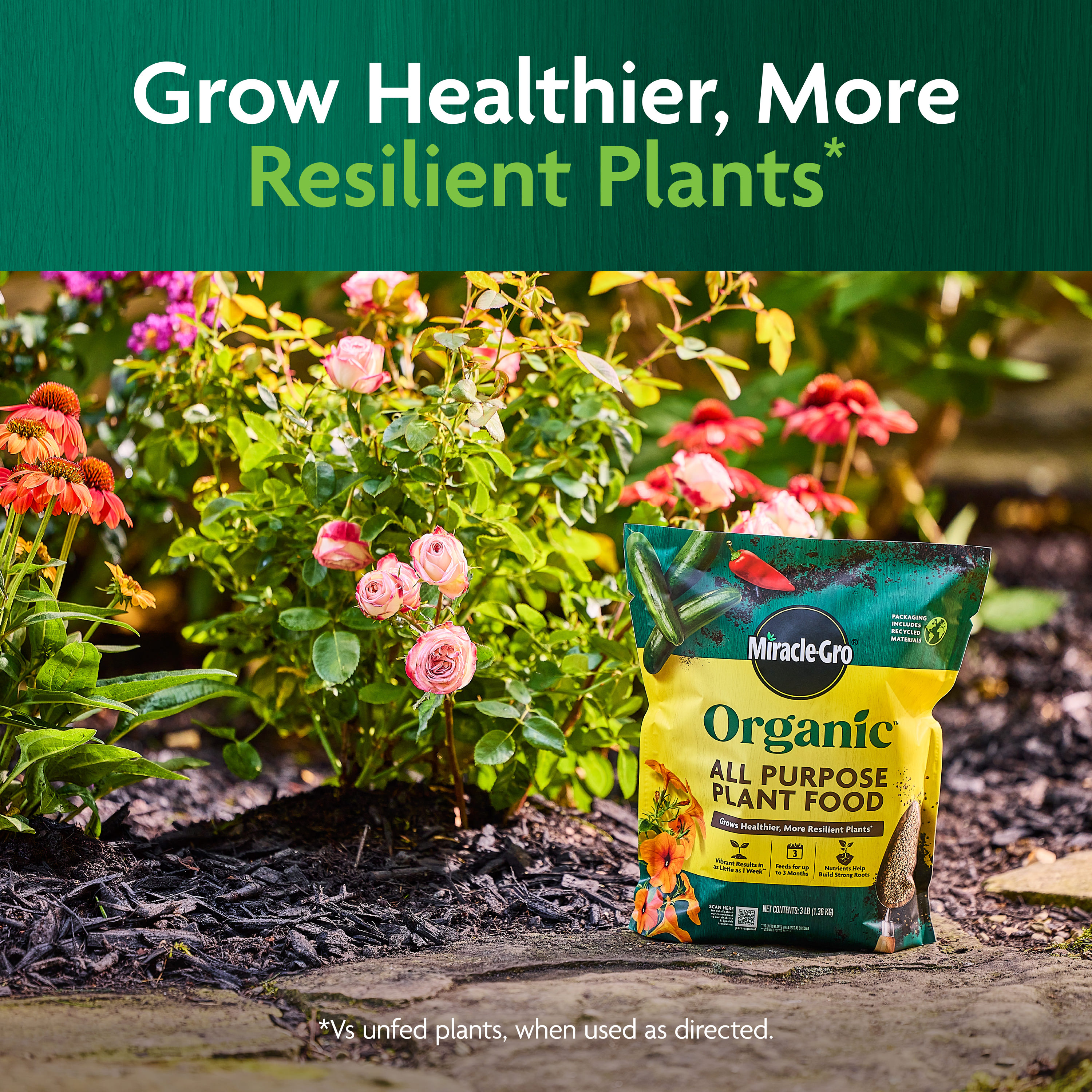 Miracle-Gro 3035906 Plant-Food - View #4