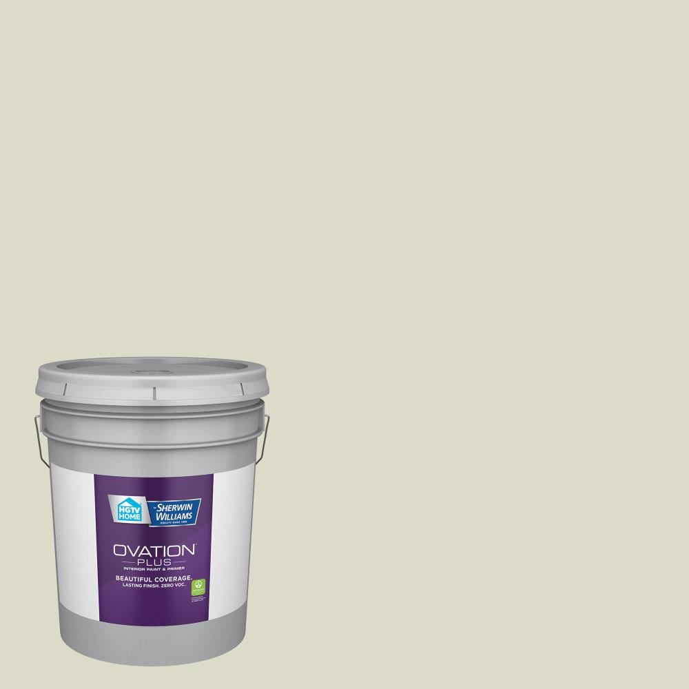HGTV HOME by Sherwin-Williams 6001-3A-2557223 Ovation Plus Flat Ancient Olive 6001-3A Latex Interior Paint Paint + Primer ( 5-gallon )