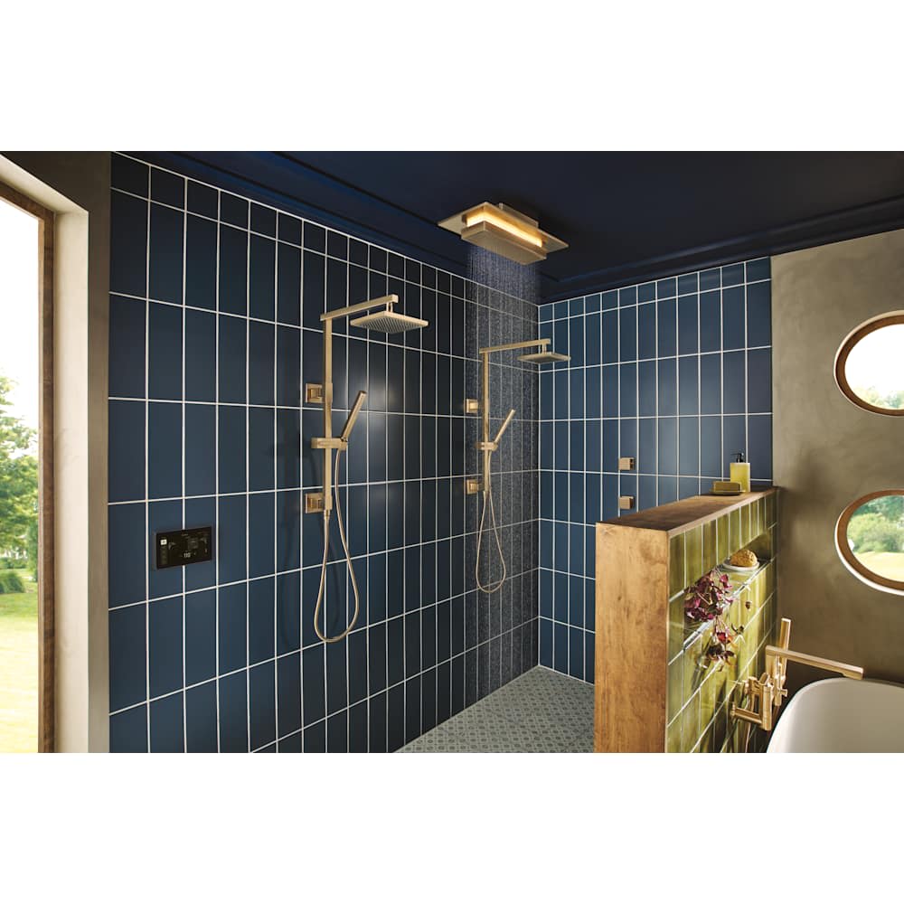 Brizo 8CN-600S-PG-L Steam-Showers - View #2