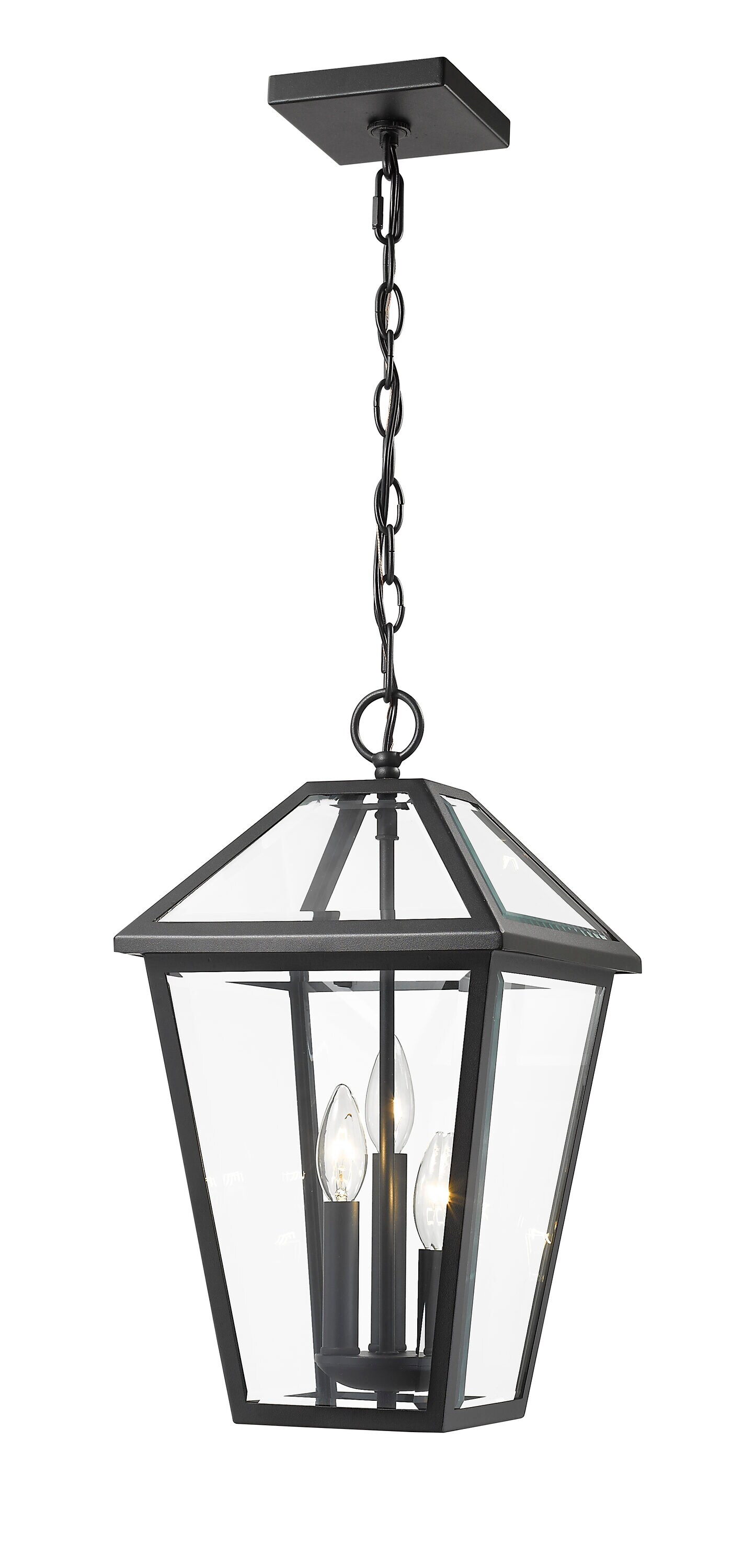 Z-Lite 579CHB-BK Pendant-Lights - View #2