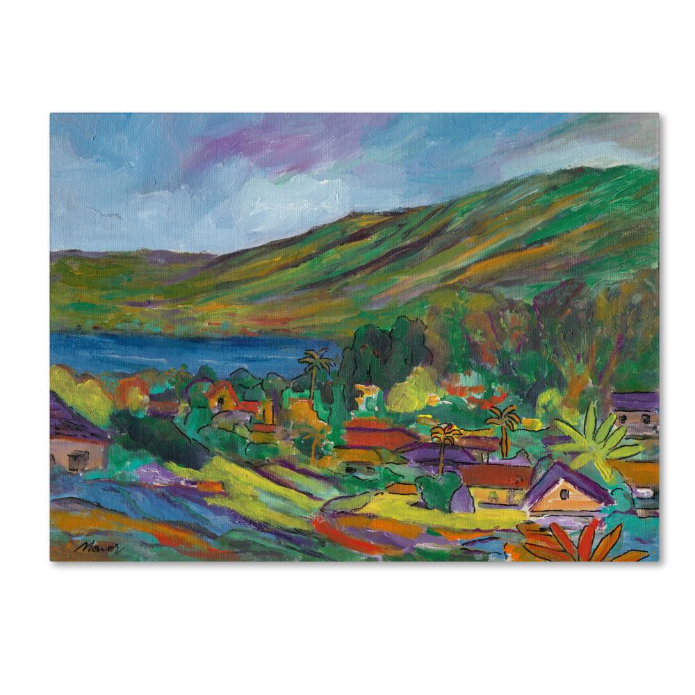 Trademark Fine Art MA0456-C1824GG Framed 18-in H x 24-in W Landscape Print on Canvas