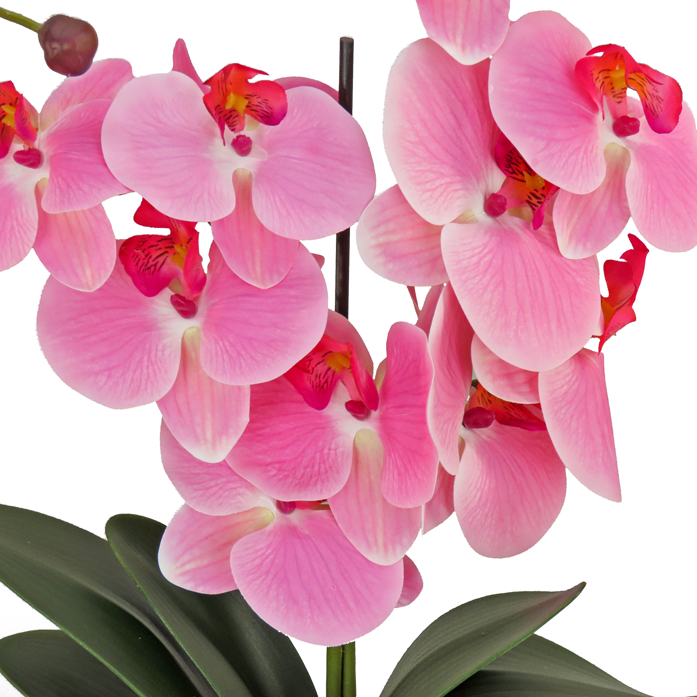 National Tree Company MT81-PH0254PPK Indoor-Spring-Decorations - View #3