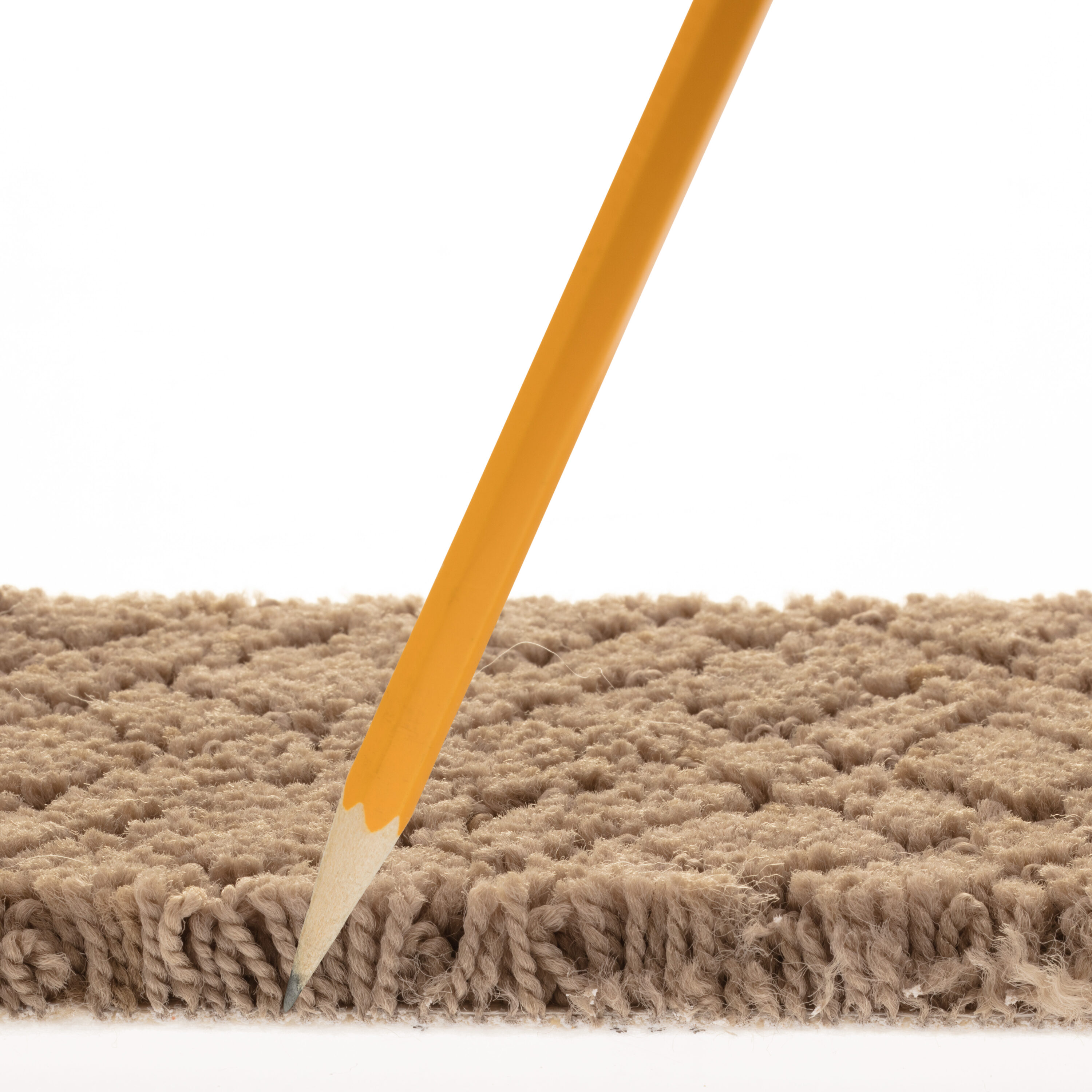STAINMASTER PetProtect 7L90000515 Carpet-Panel - View #7
