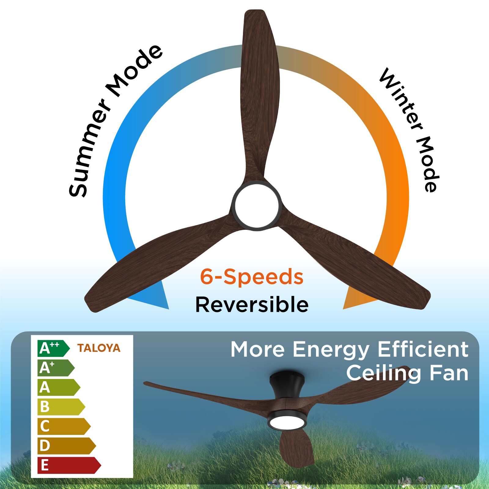 TALOYA TLY-RT-BW-X52 Ceiling-Fans - View #5