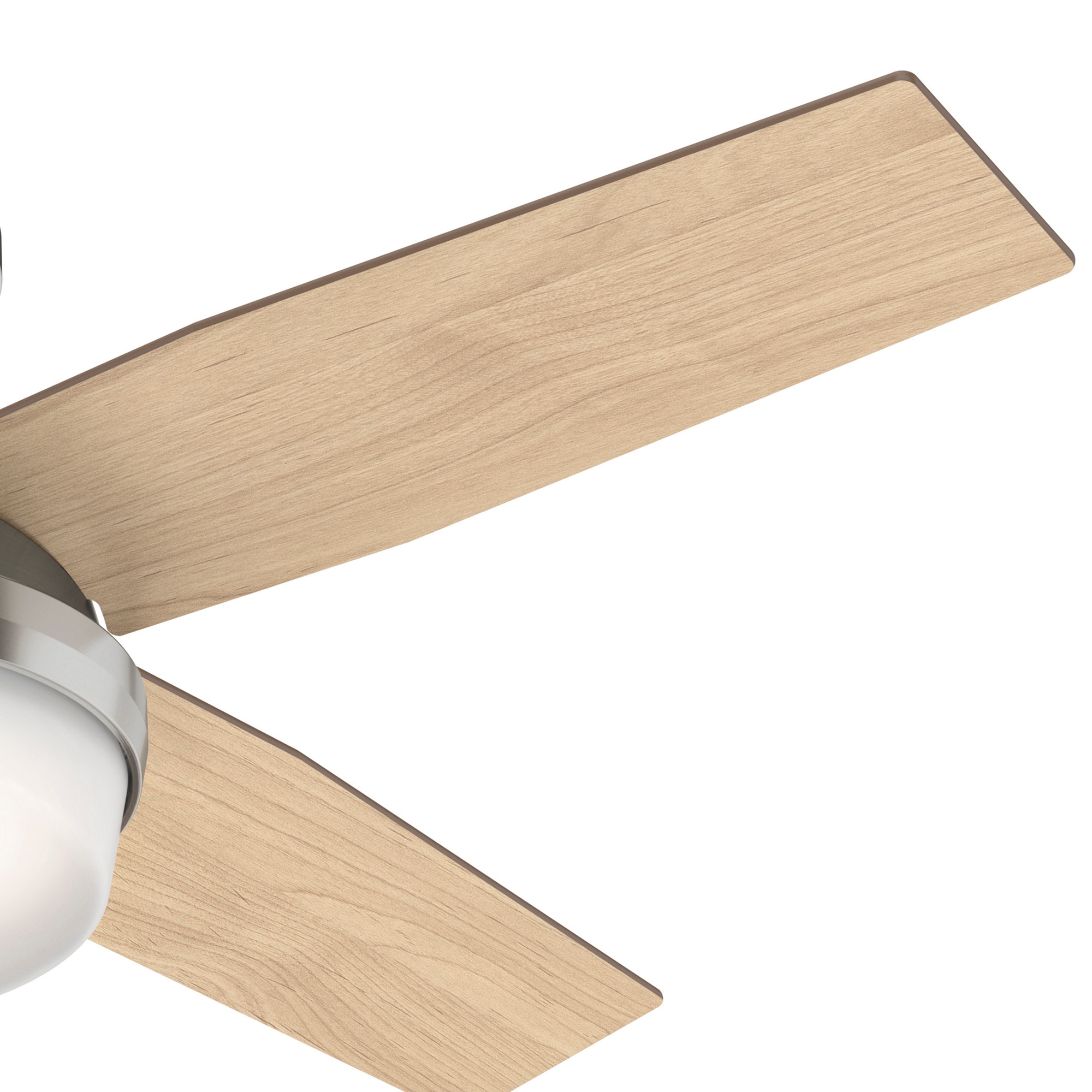 Hunter 50282 Ceiling-Fans - View #9