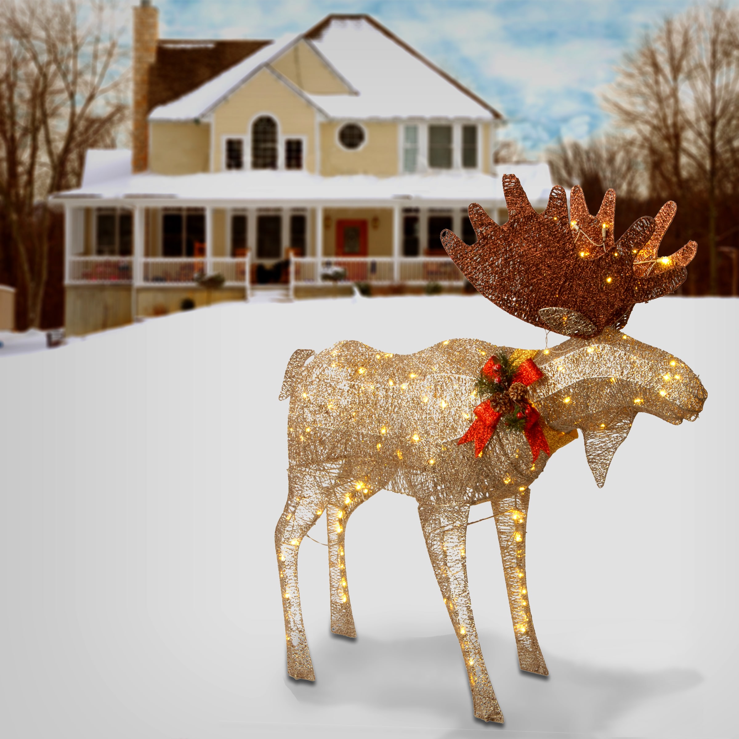 National Tree Company DF-120003 Outdoor-Christmas-Decor - View #3