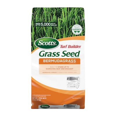 Cat Grass-Italian rye-grass Perennial 2700 seeds seeds