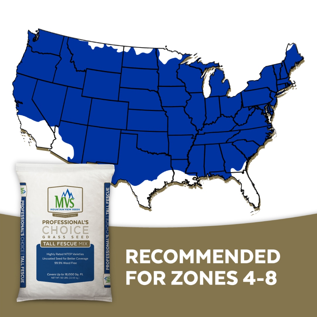 Mountain View Seeds 115565 Grass-Seed - View #3