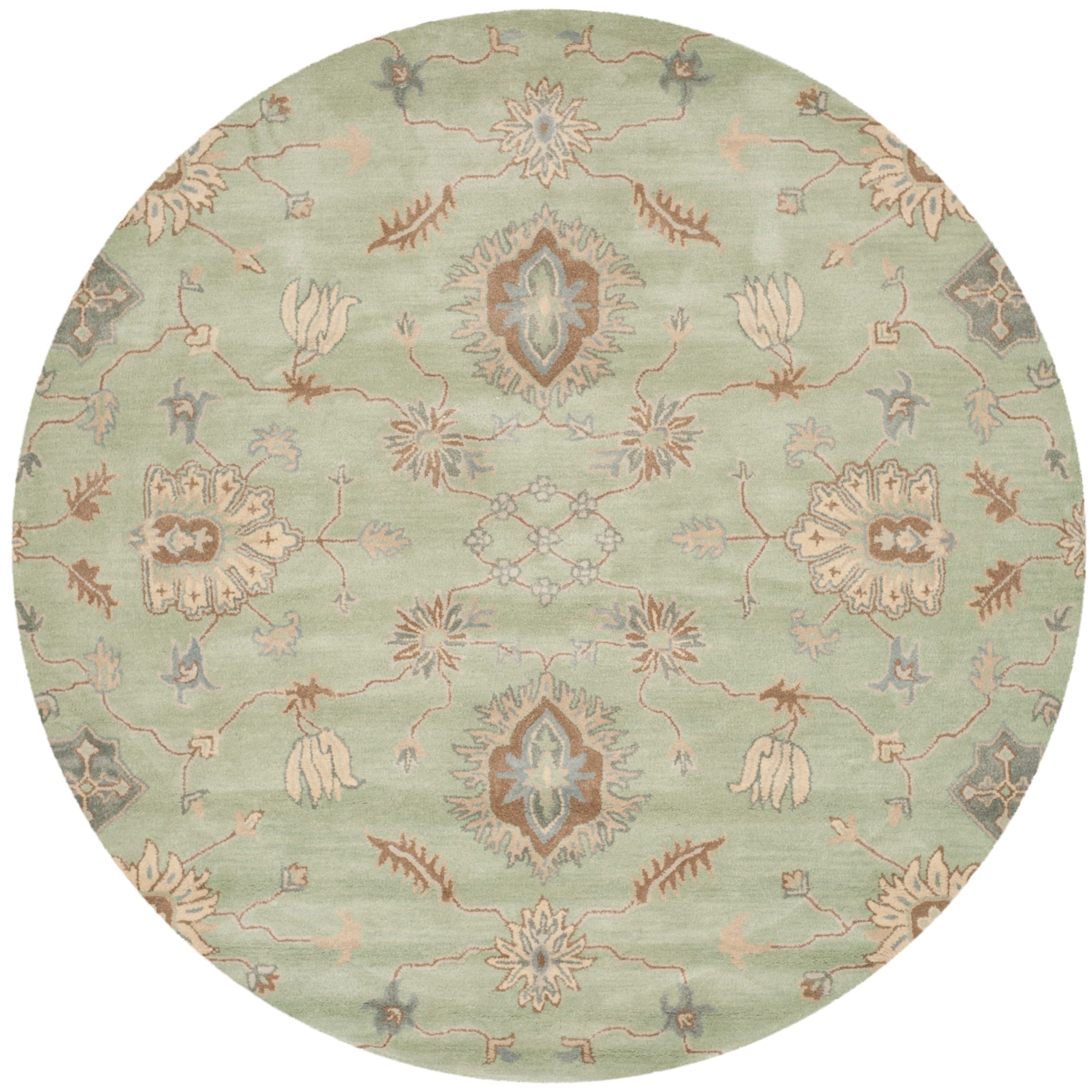 Green Round Rugs at Lowes.com