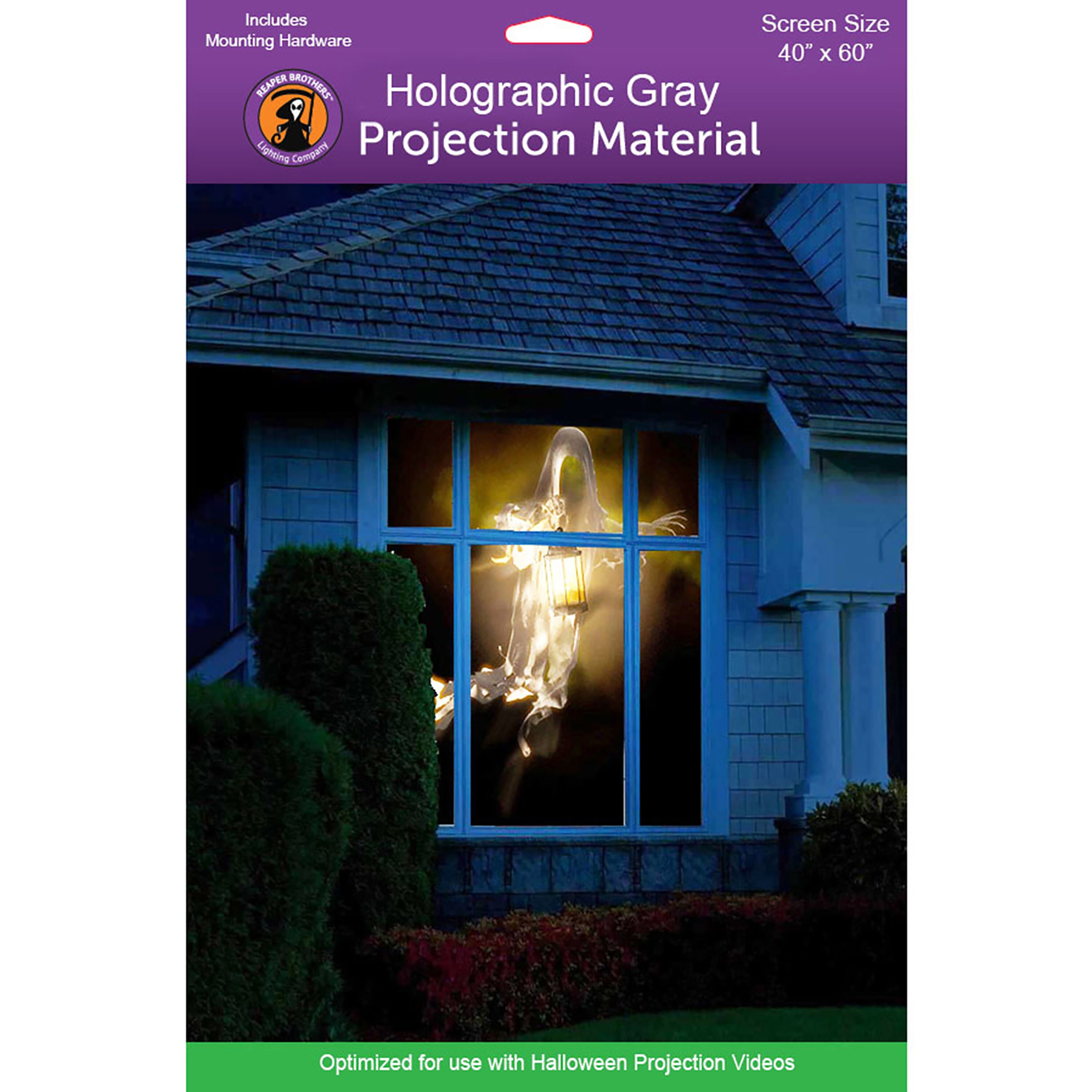 HoliScapes SCREEN-G-40X60 40-Inches L x 0.1-Inches W x 60-Inches H Indoor Movie Screen