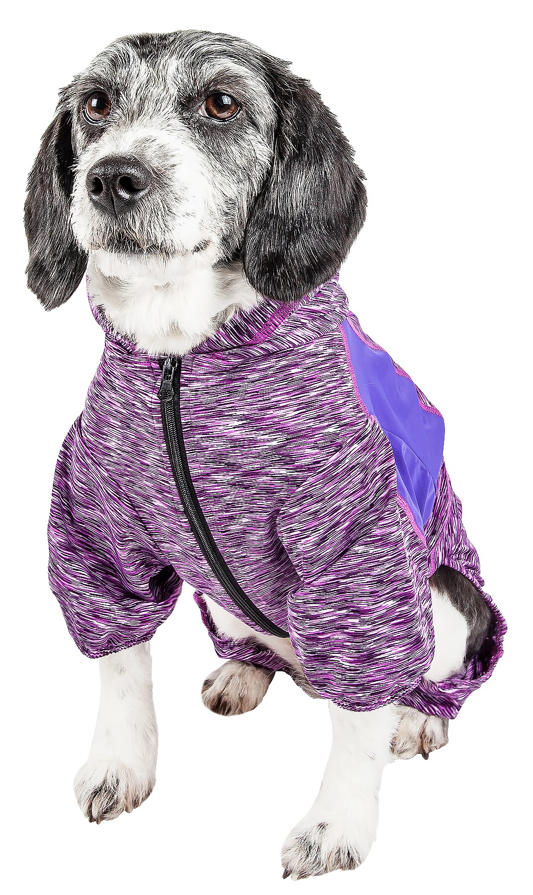 Pet Life YGHL1PLLG Dog-Apparel - View #3