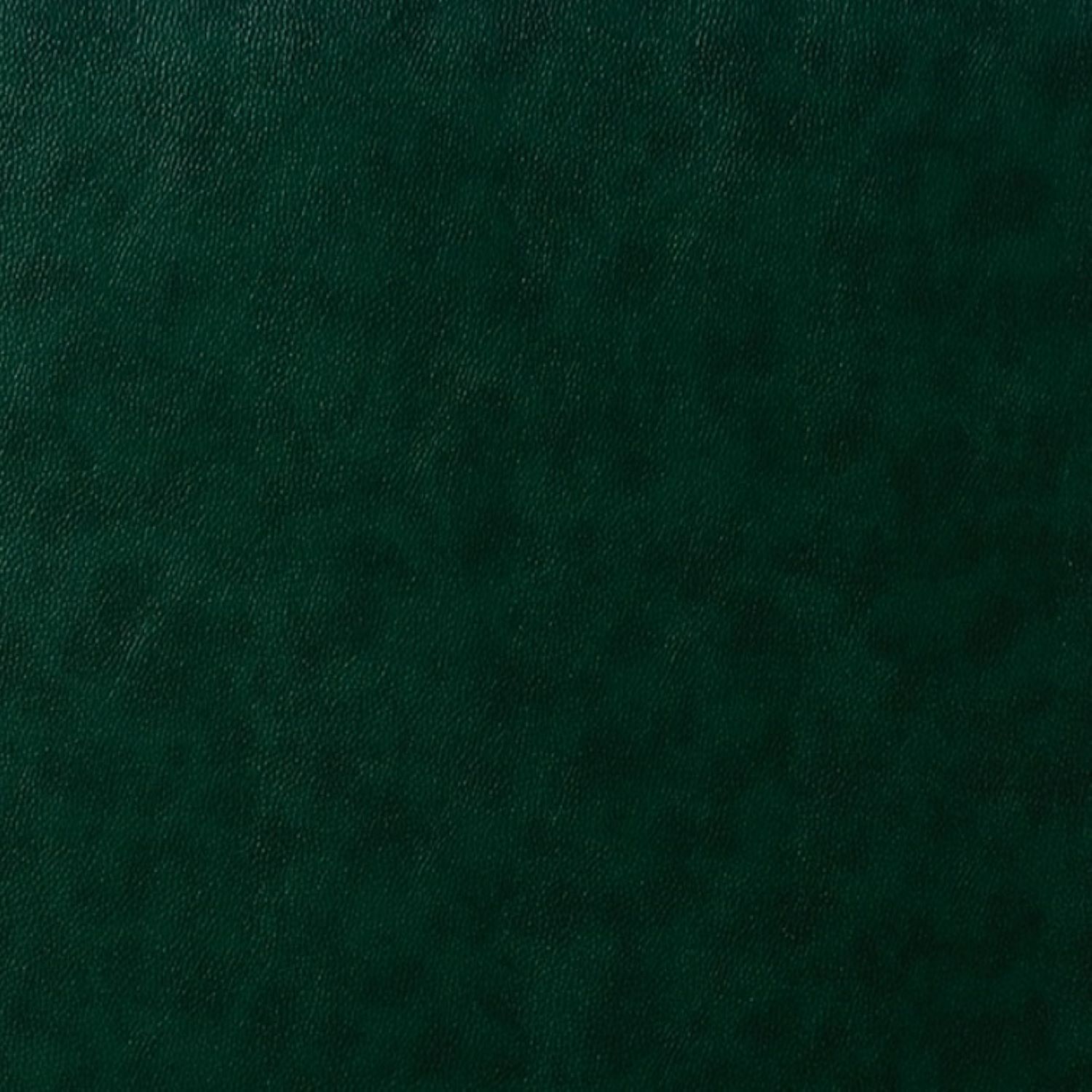 14 Karat Home RCLB0052-GREEN recliners - View #9