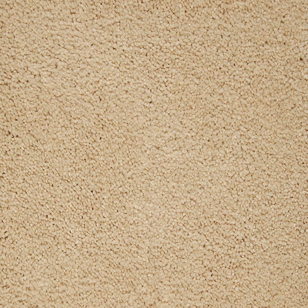 STAINMASTER PetProtect STP55-L012-0808 (Sample) Purrfectly Pampered Soft Lights Brown 60-oz sq yard Triexta Textured Indoor Carpet