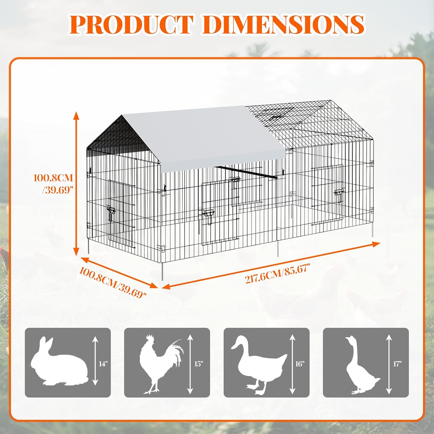 Qeetex WLS-PHO-33E4A67J Chicken-Coops-Rabbit-Hutches - View #4