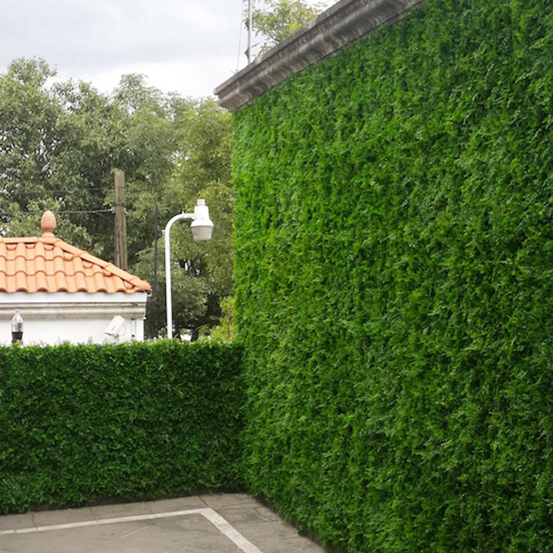 Greensmart Dekor MZ-6116 Wall-Accents - View #4