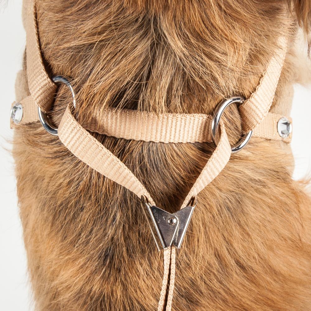 Pet Life Brown Dog Harness, Medium in the Pet Collars & Harnesses  department at