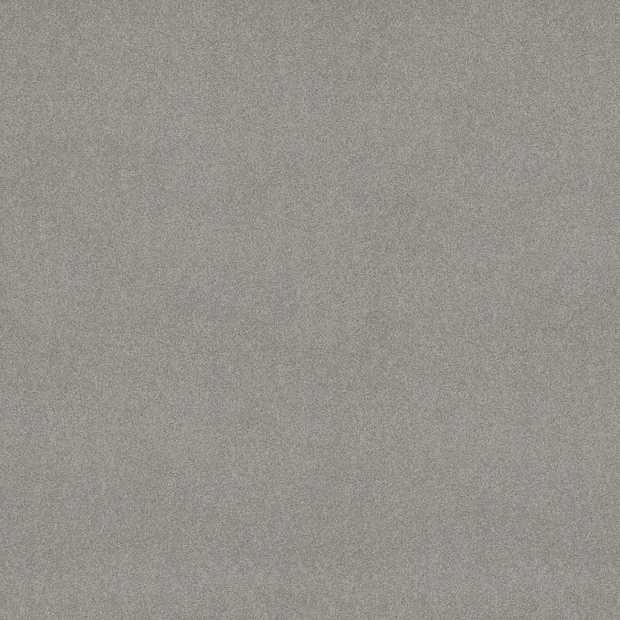 STAINMASTER PetProtect 7L881 - 551 - SAMP (Sample) Best Of Breed I Restoration Gray 48.8-oz sq yard Nylon Textured Indoor Carpet