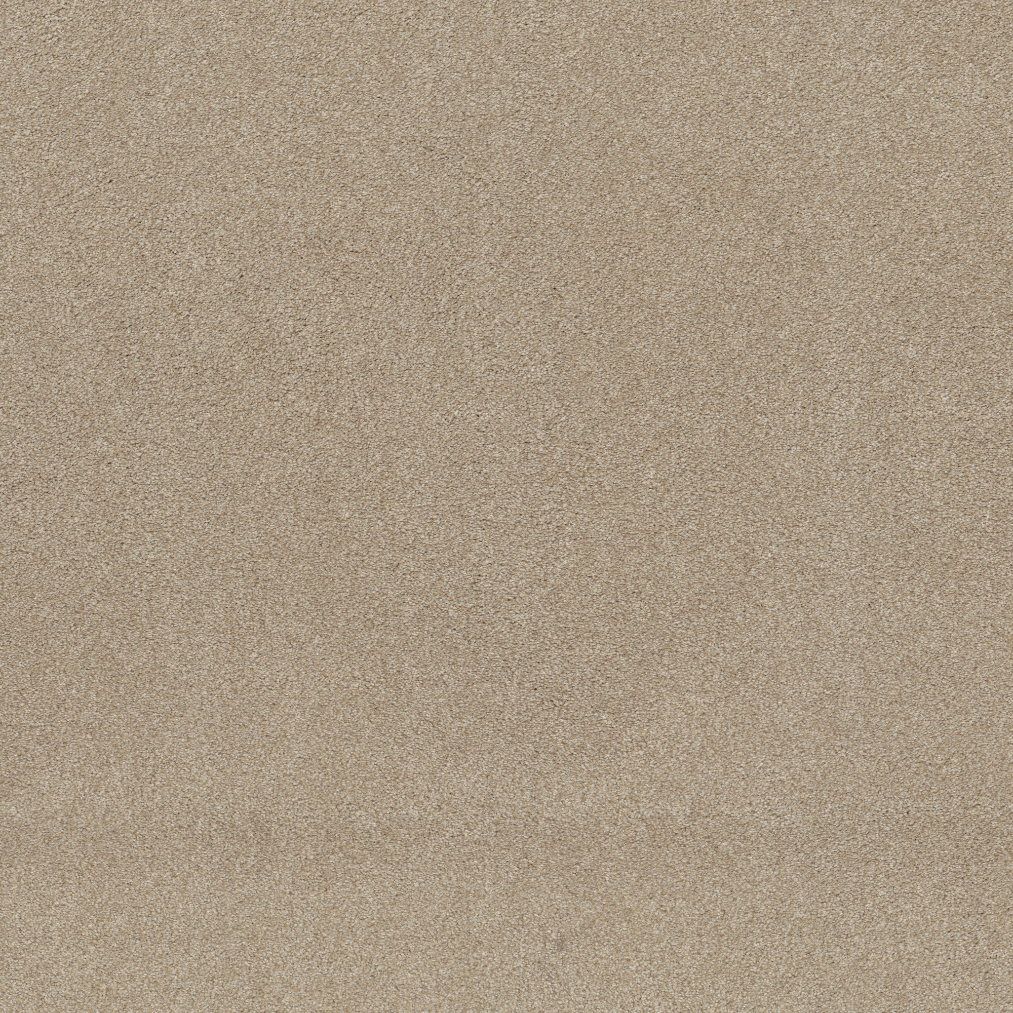 STAINMASTER PetProtect 7L928-120-SAMP (Sample) with LeakDefense Splash Dance I Butter Nut Tan 58.5-oz sq yard Polyester Textured Indoor Carpet