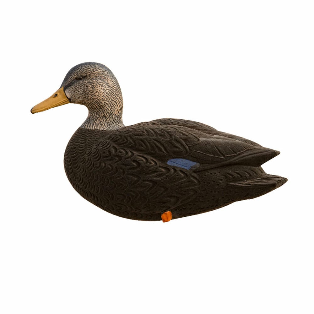  Avian X 408519 Hunting-Equipment - View #10