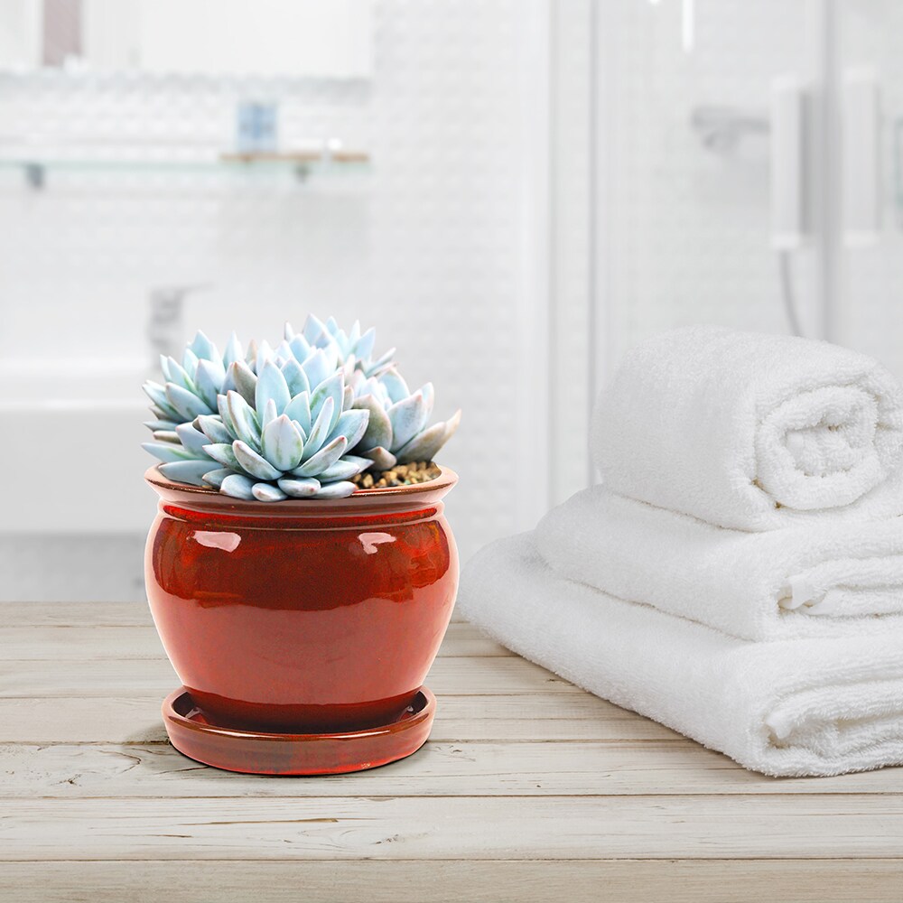Southern Patio CRM-031055P2 Planter-Window-Box - View #11