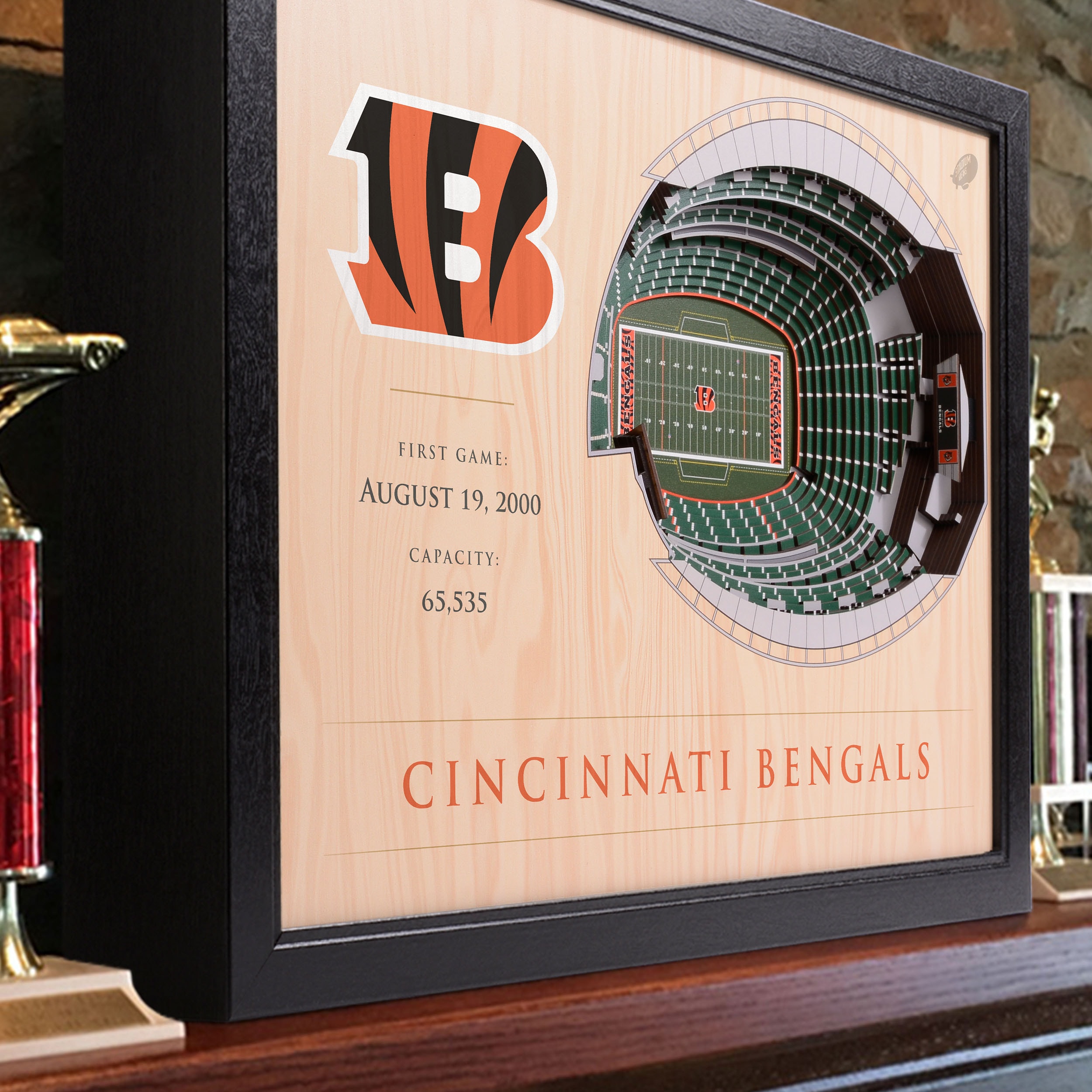 Cincinnati Bengals Paul Brown Stadium 3D Wood Stadium Replica — 3D