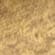 Antique Brass