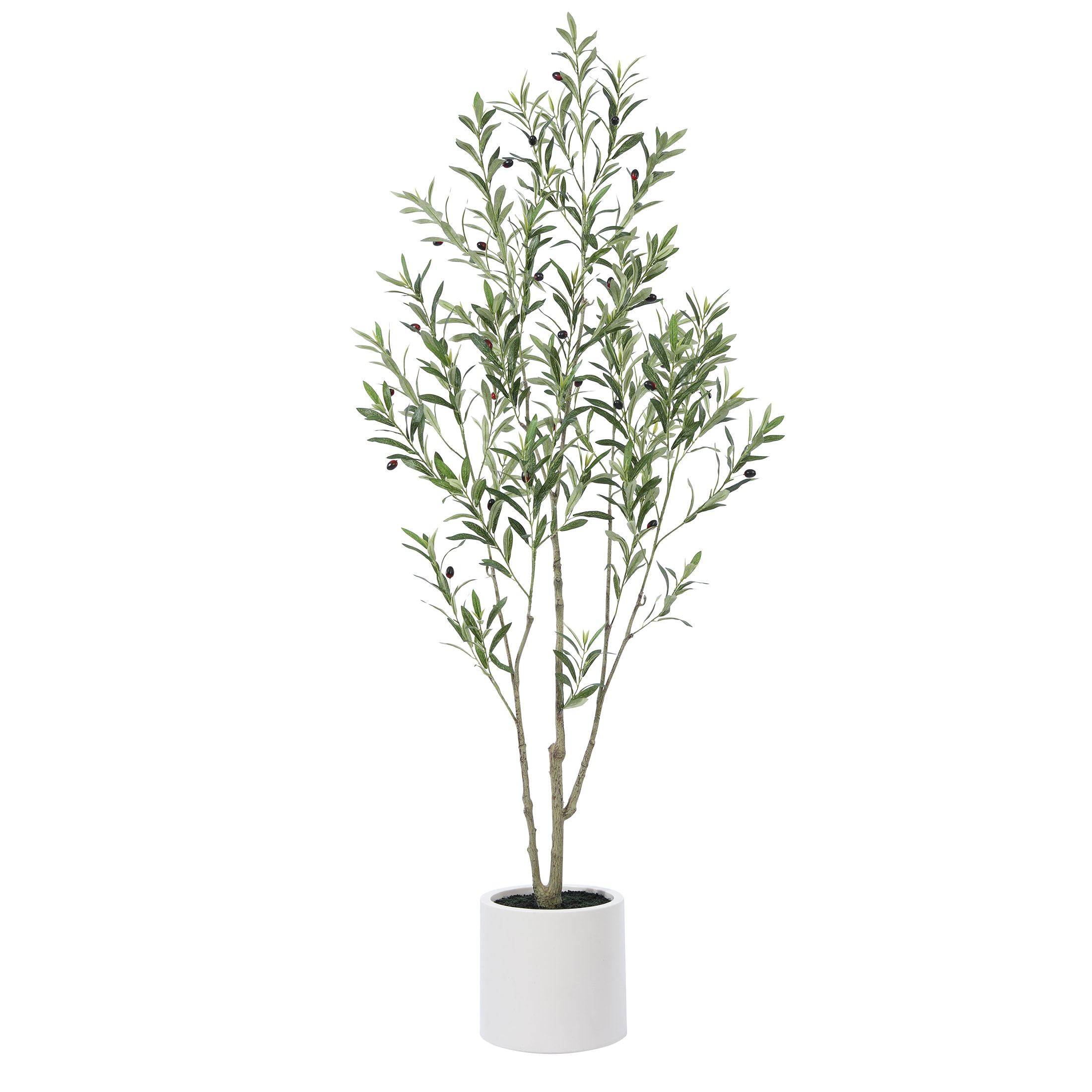 DR.Planzen DBPDGGLS1.8M-1 72-in Green Indoor/Outdoor Floor Olive Artificial tree