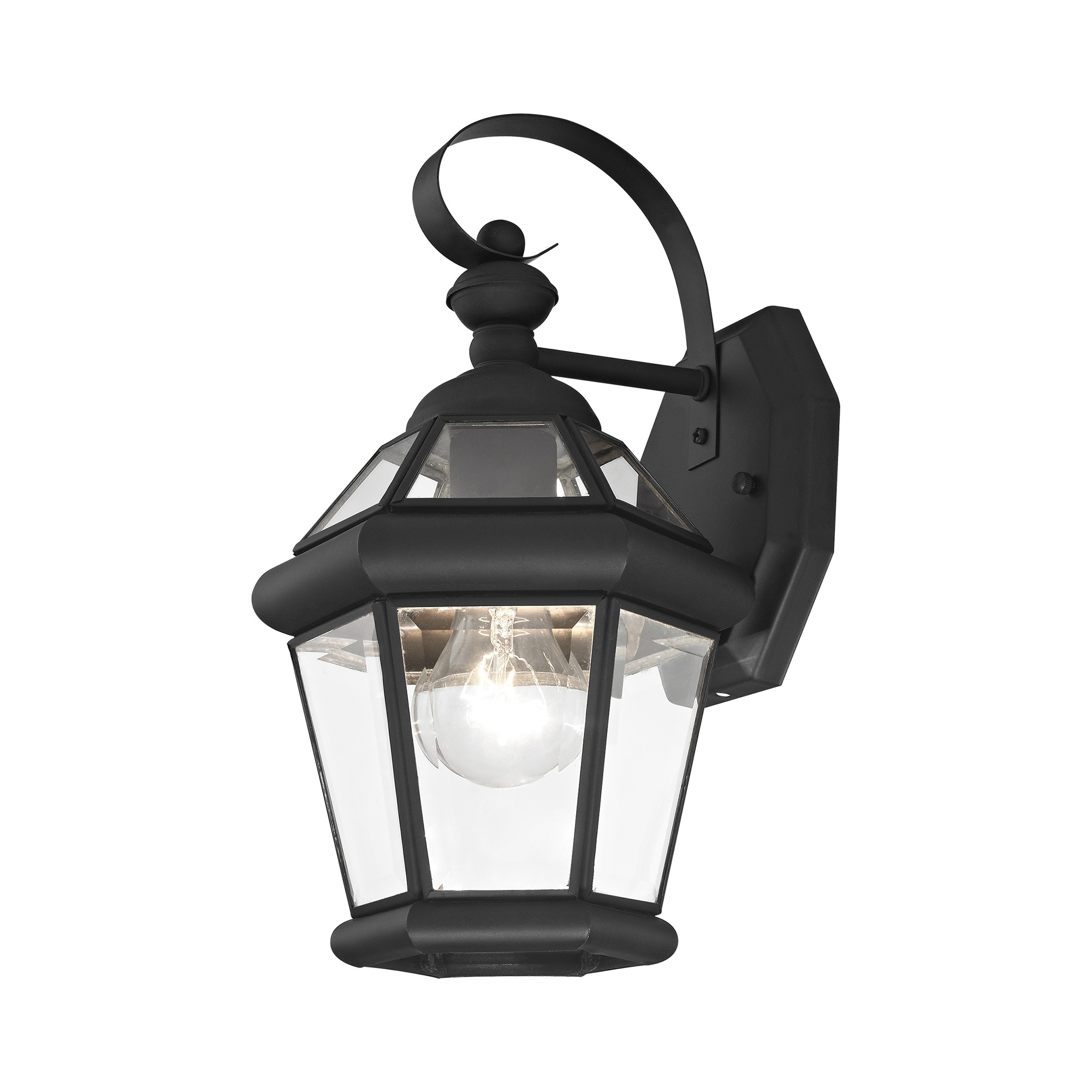 Livex Lighting 2061-04 Georgetown 1 -Light 11-in H Black Plug-in Outdoor Wall Light