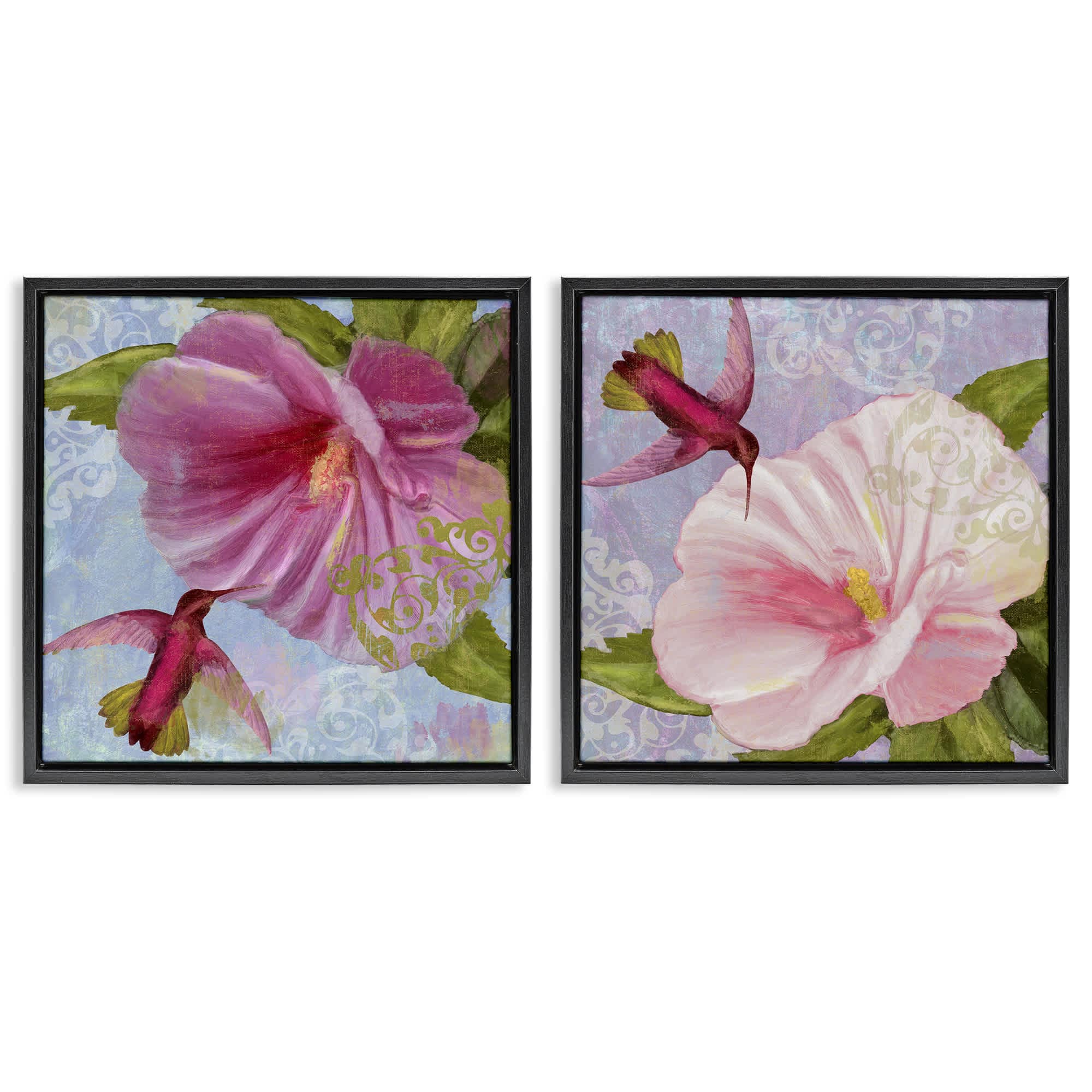 Stupell Industries B2-810-FFB-2PC-24X24 Hummingbirds and Poppy Bulbs 2pc Floating Frame Set design by Sasha