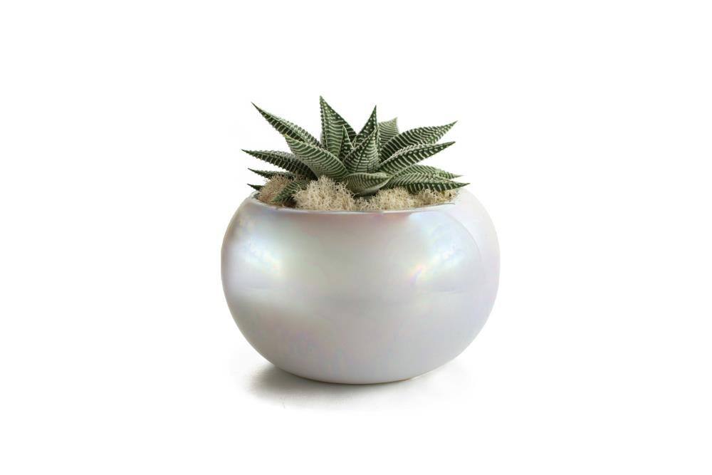 LiveTrends CEWIPECHXX004 Table-Christmas-Decorations - View #3